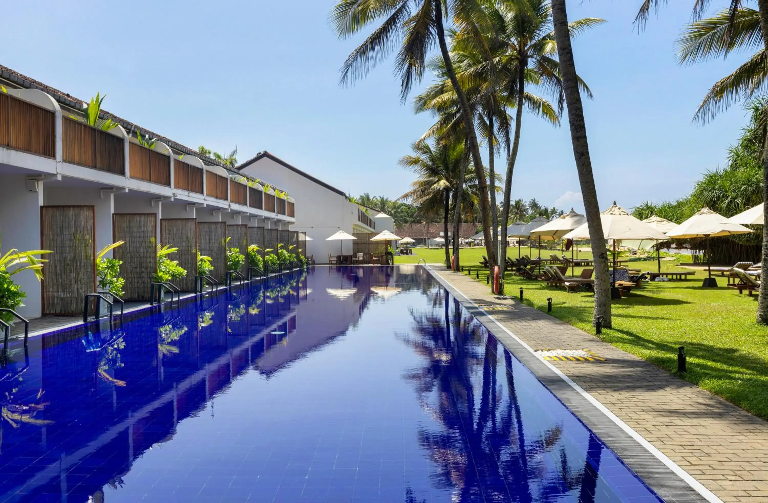 Pool view in EKHO Surf Bentota Pool view in EKHO Surf Bentota