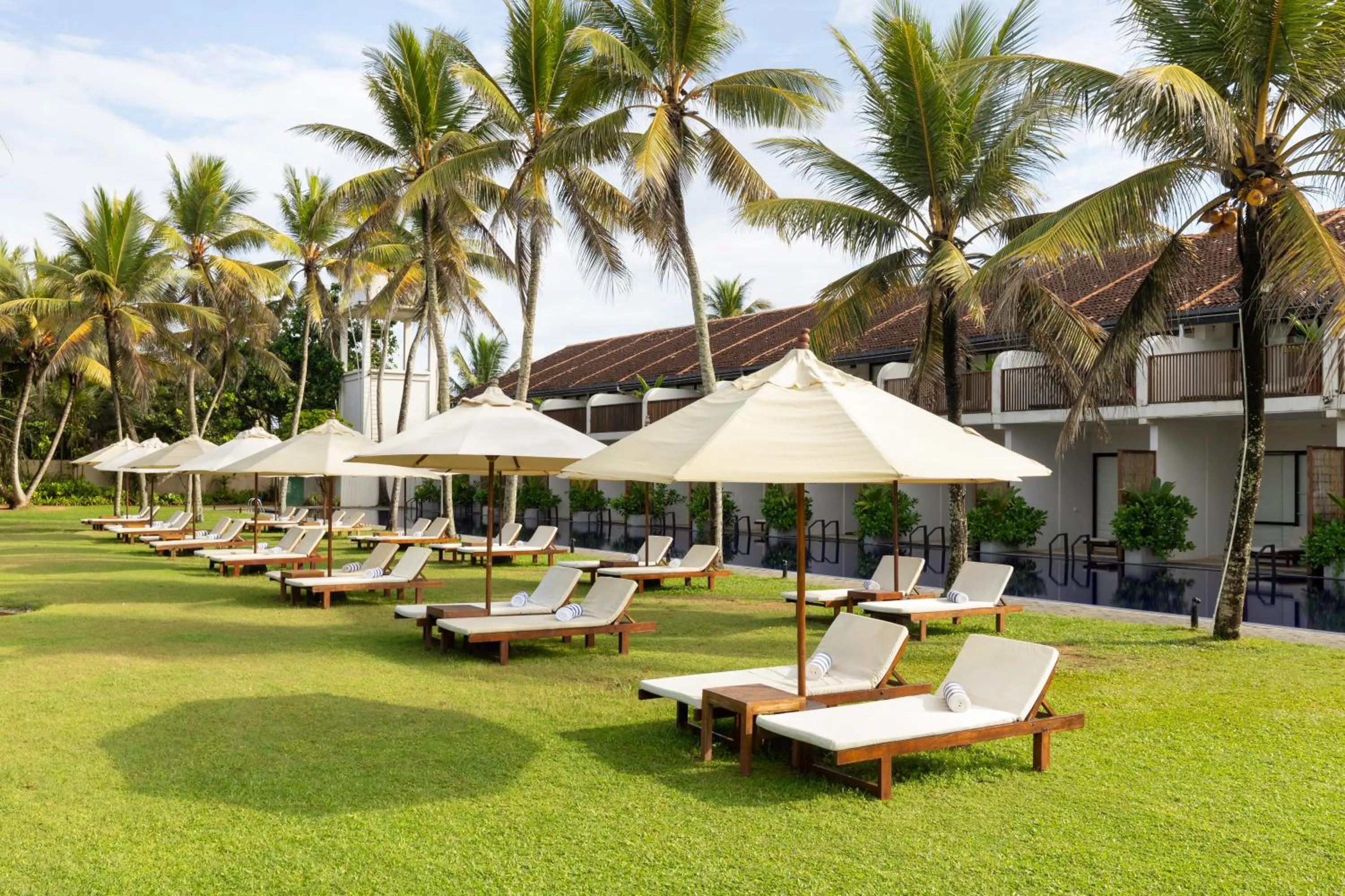 Garden in EKHO Surf Bentota