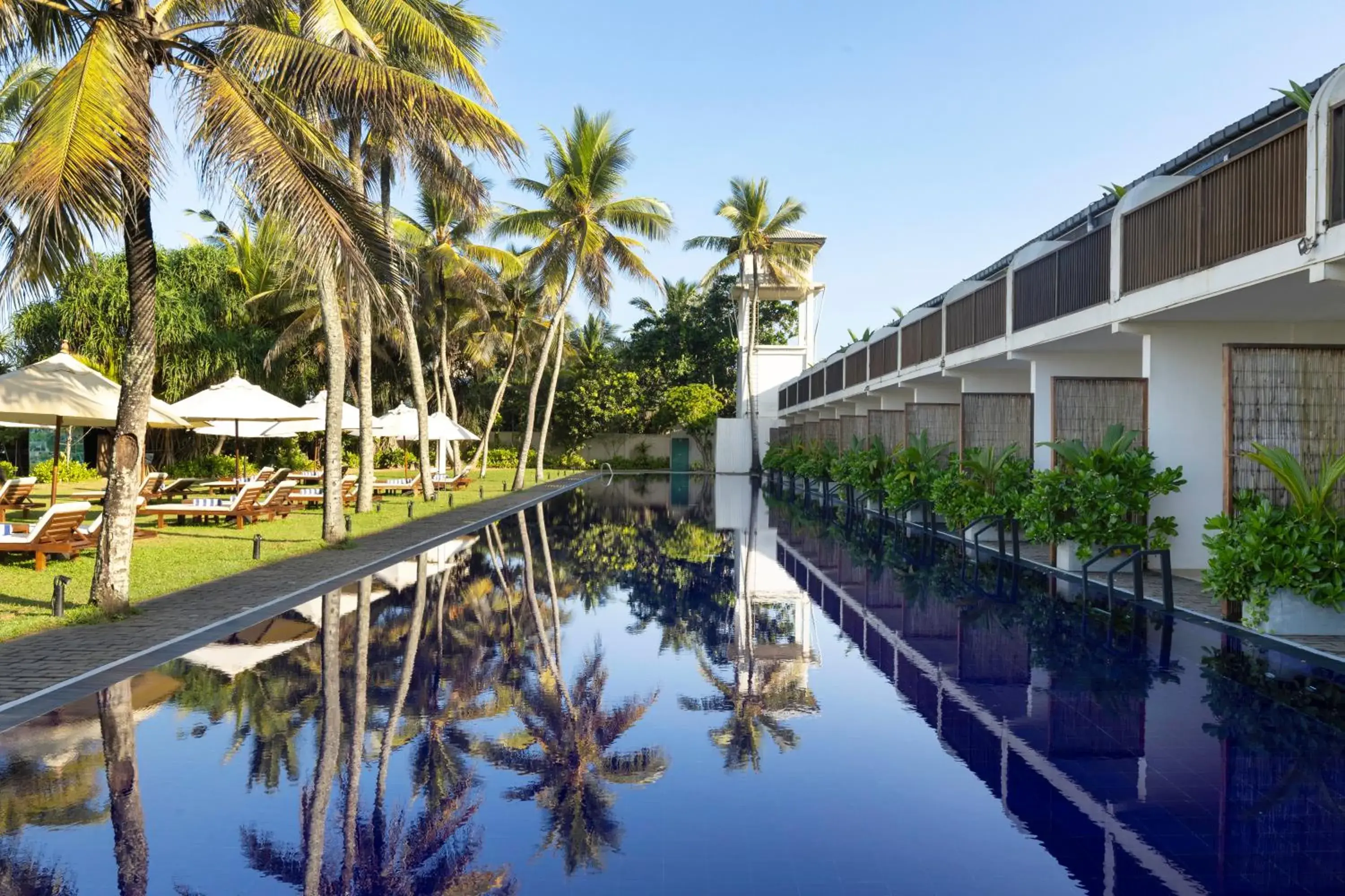 Pool view in EKHO Surf Bentota Pool view in EKHO Surf Bentota