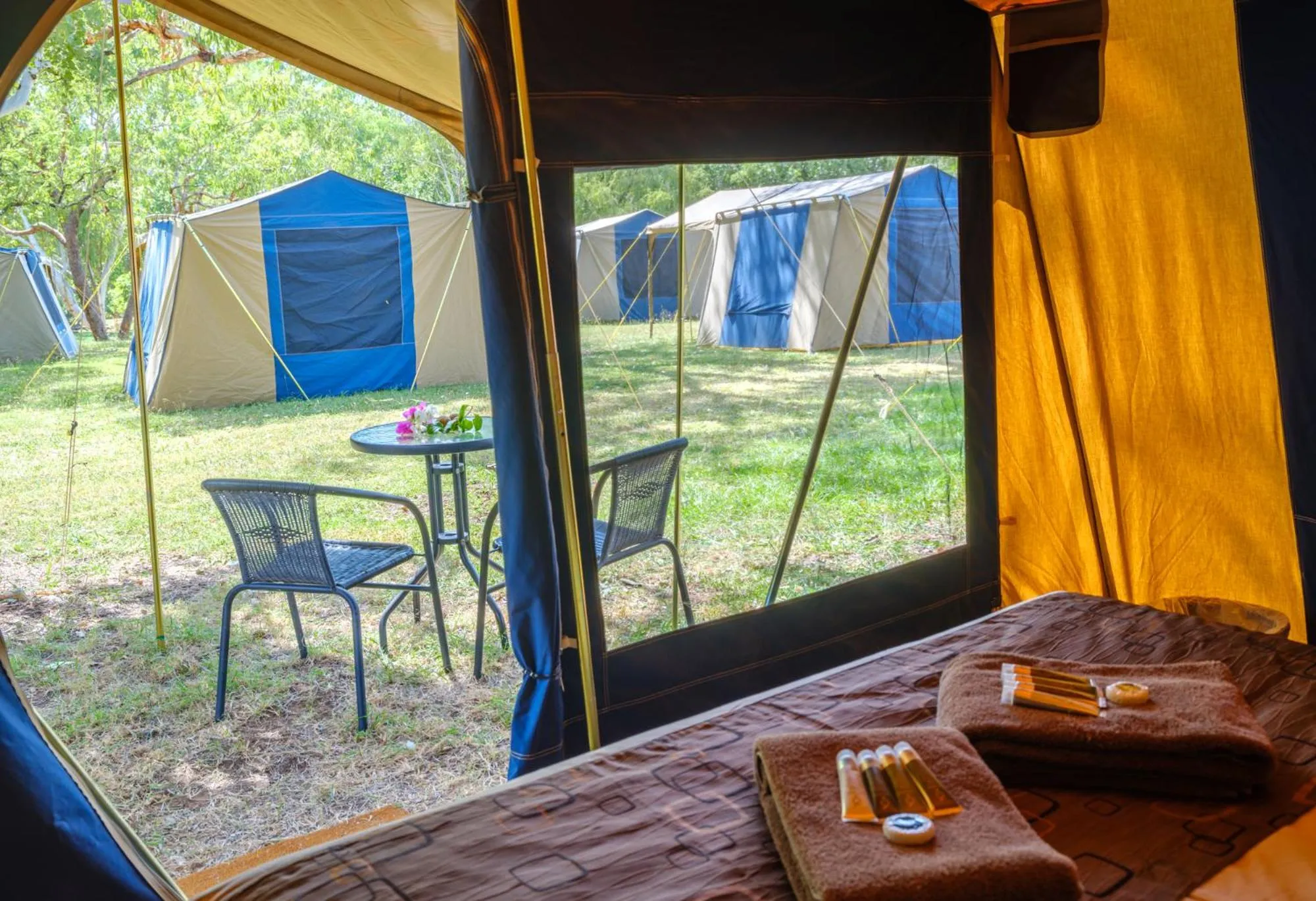 Garden view in The Station at El Questro