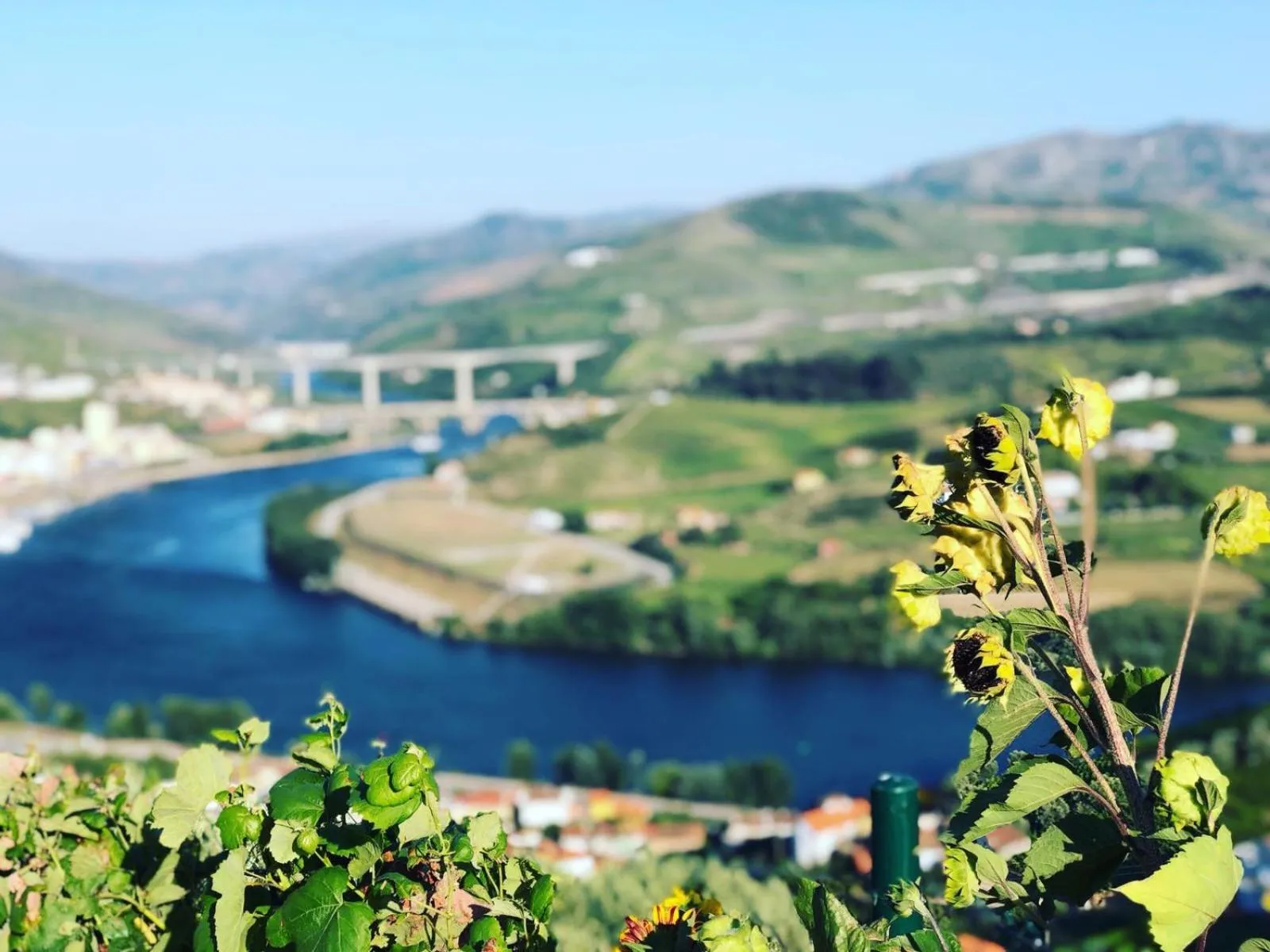 Balcony/Terrace in Quinta Pecêga - AL