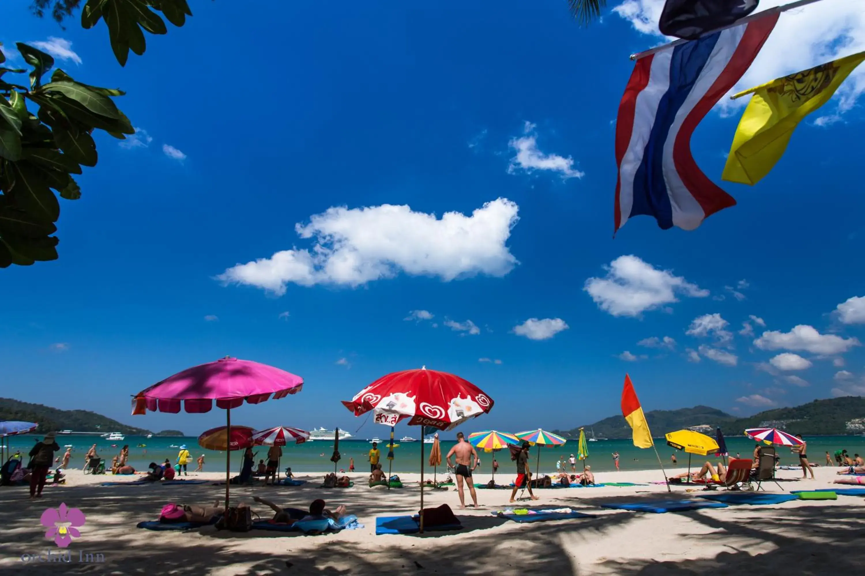 Property building in Grand Orchid Inn Patong beach Property building in Grand Orchid Inn Patong beach