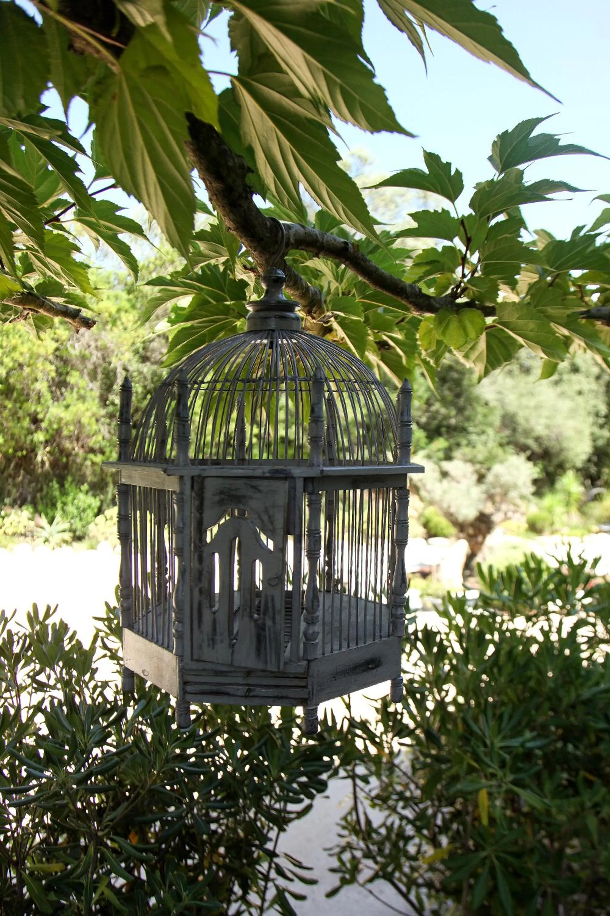 Garden in L'Hostellerie du Moulin des Oliviers