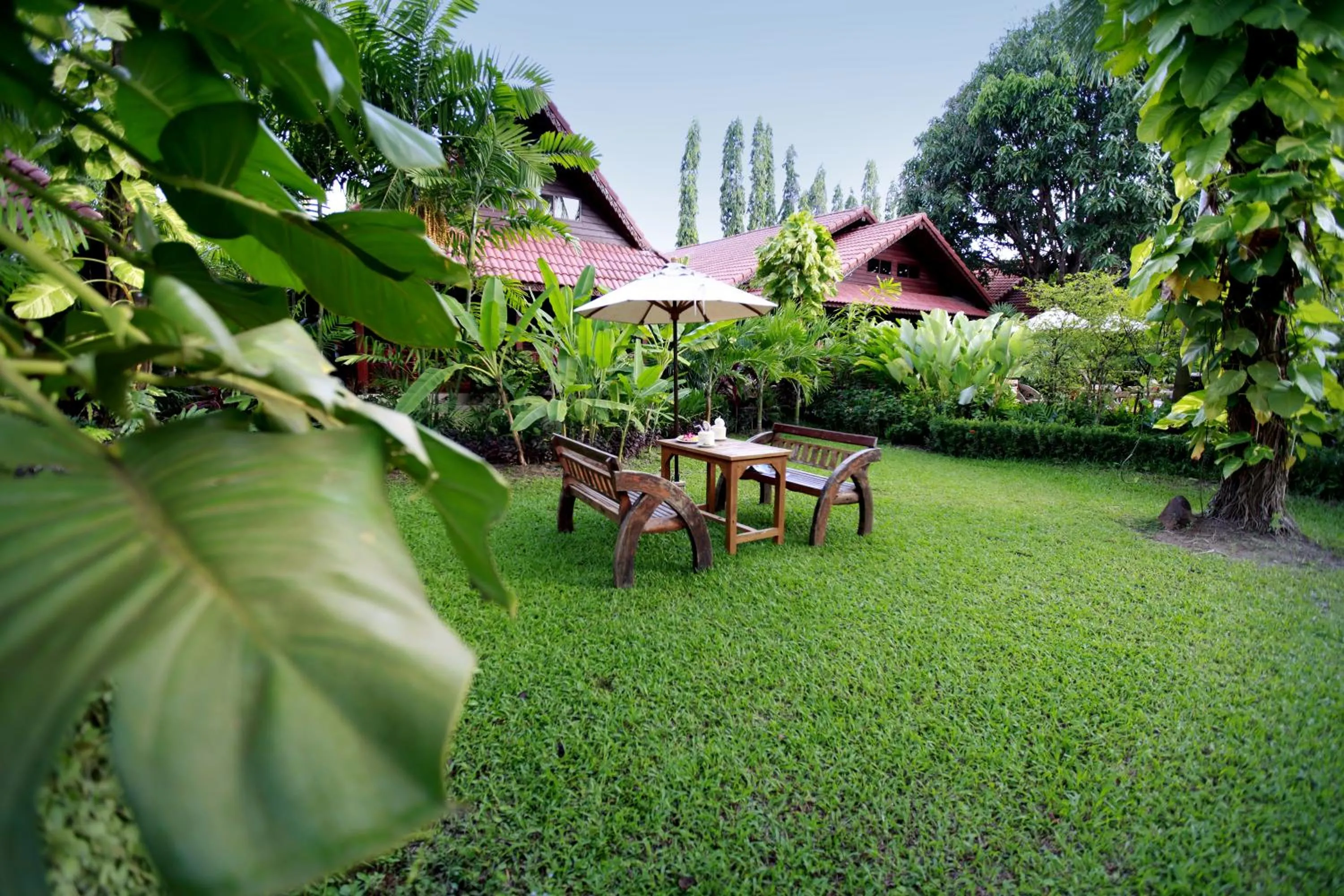 Garden in Smile House - Fisherman Village