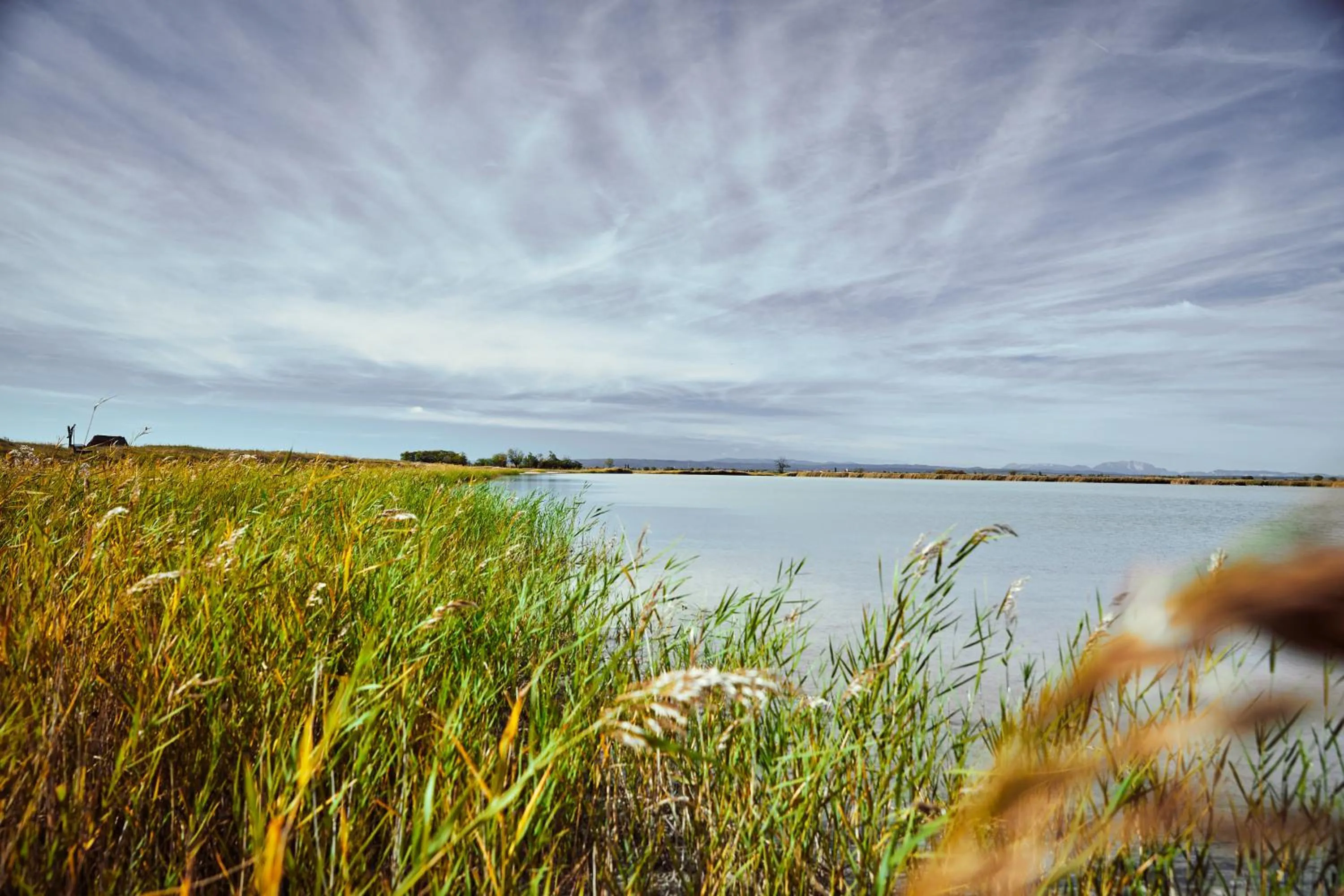 Natural landscape in Residenz Velich