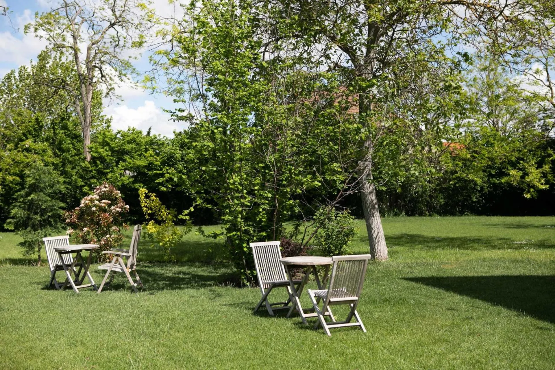 Garden in Residenz Velich
