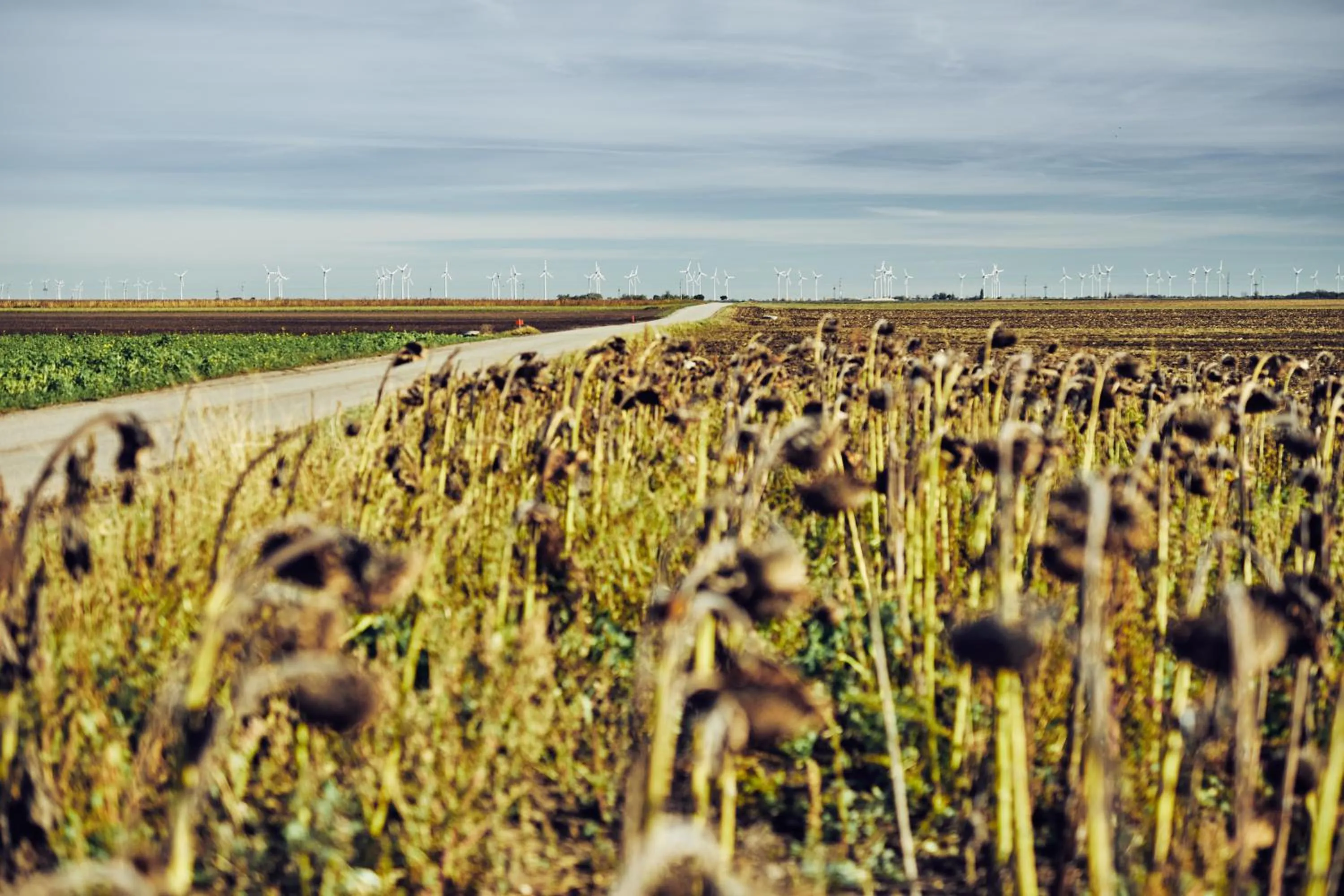 Natural landscape in Residenz Velich