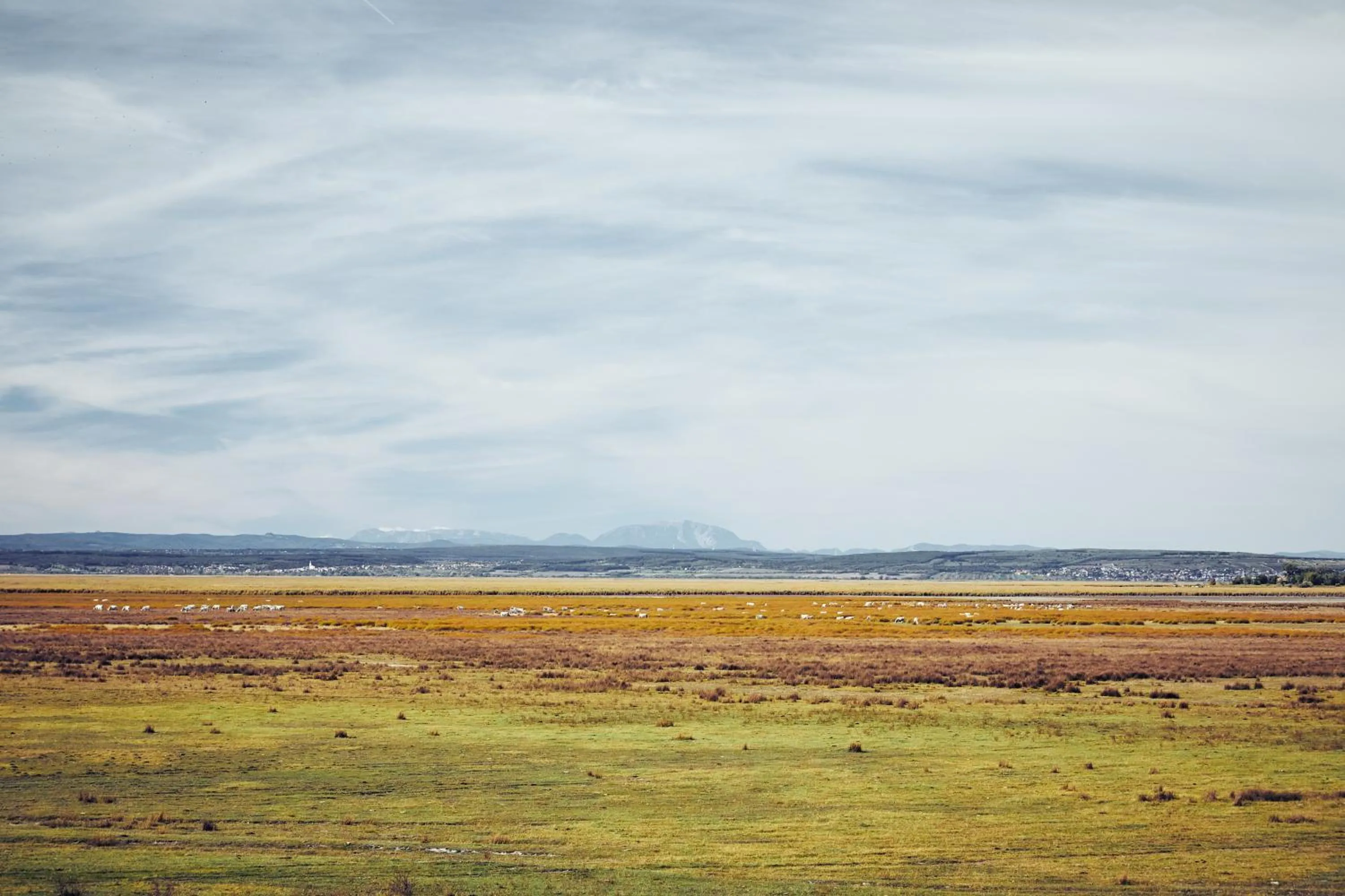 Natural landscape in Residenz Velich