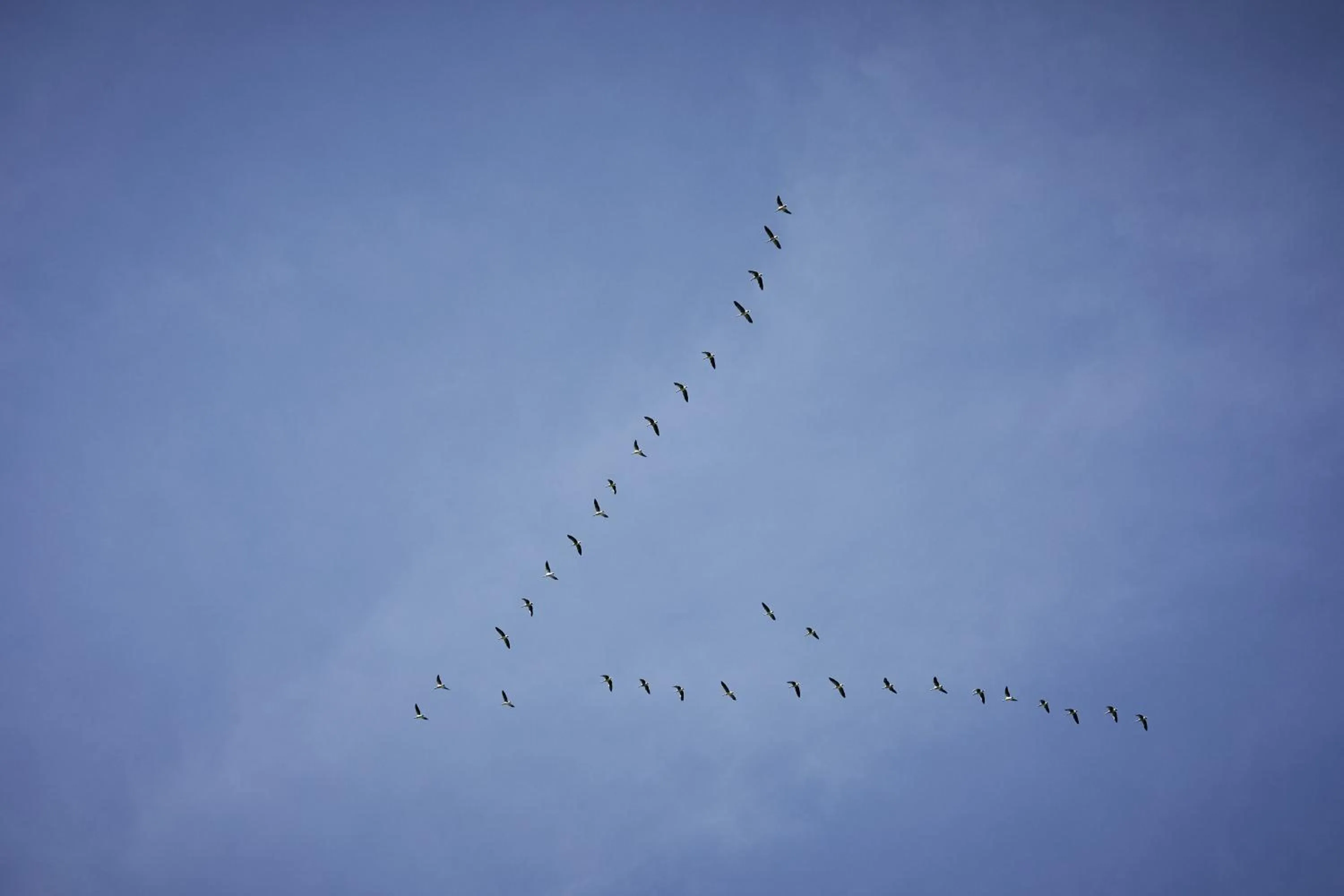 Bird's eye view in Residenz Velich