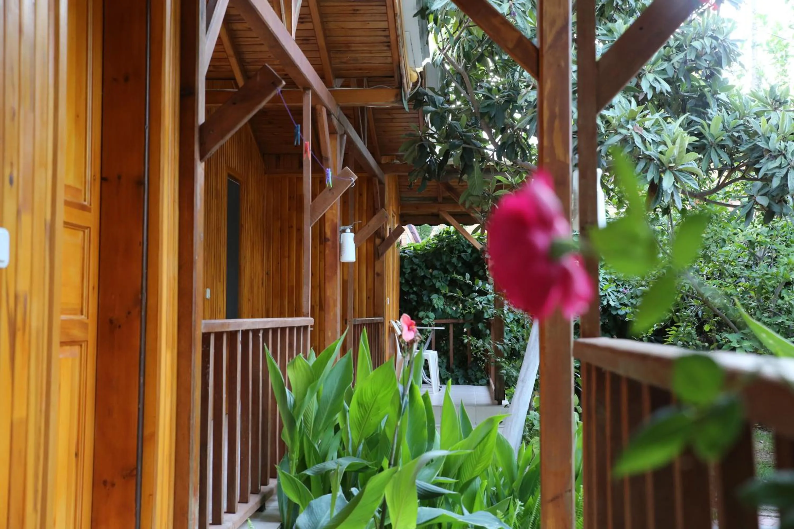 Spring in Duran Bungalow