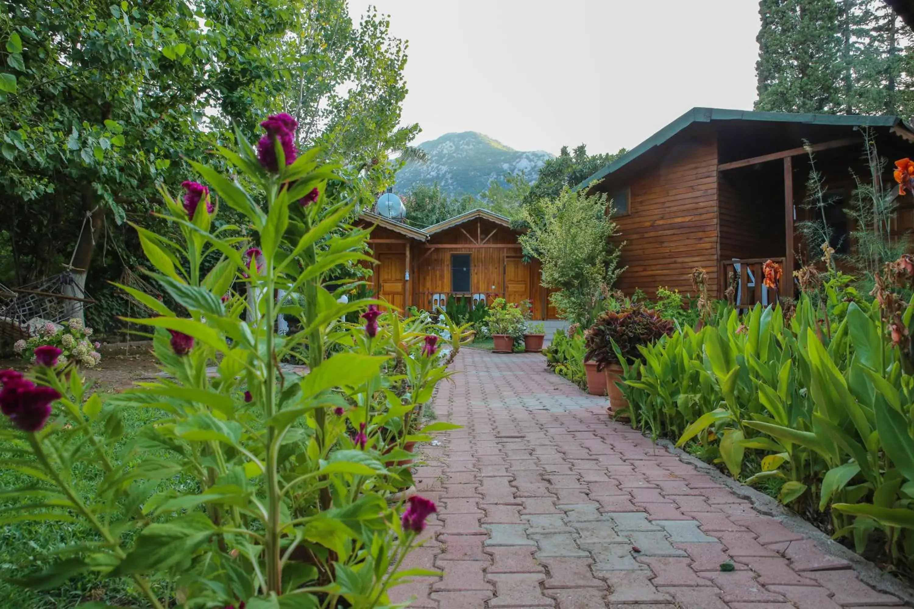 Duran Bungalow Duran Bungalow