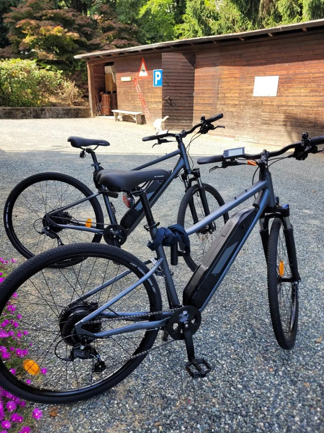 Cycling in B&B Villa Tavallini