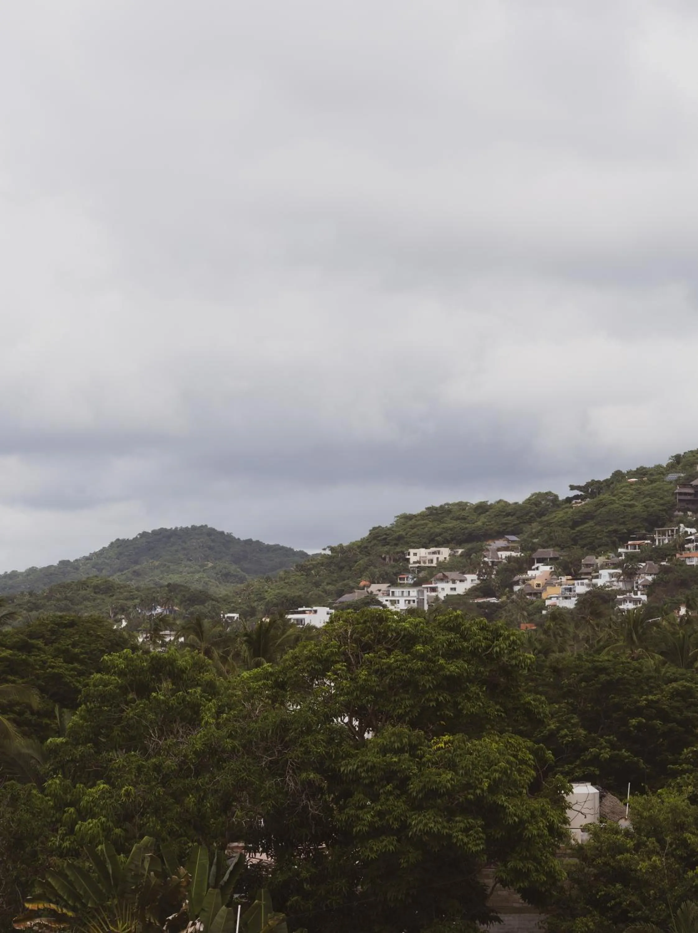Day in Sayulita Central Hotel