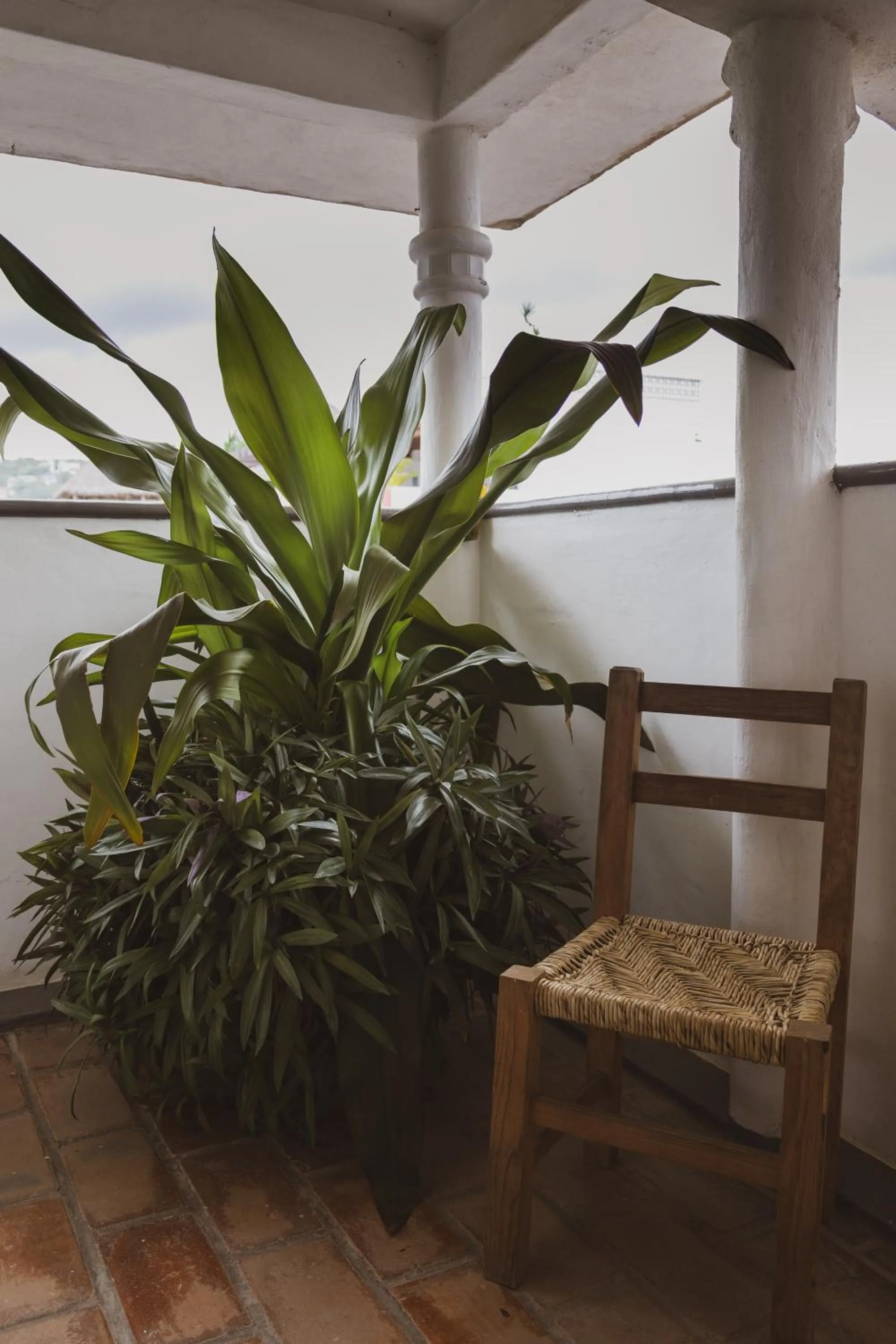 Property building in Sayulita Central Hotel