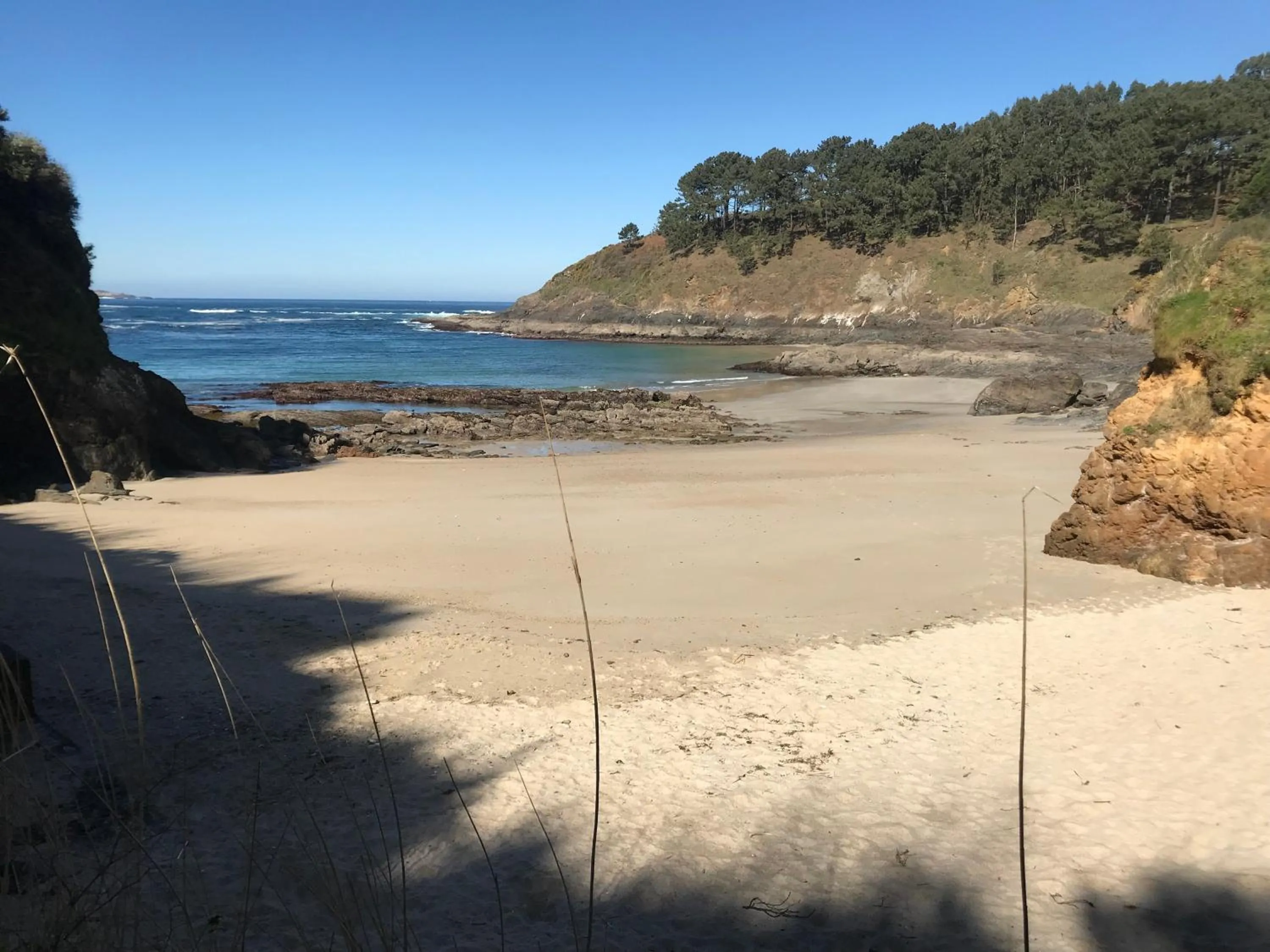 Beach in Apartamentos Canabal