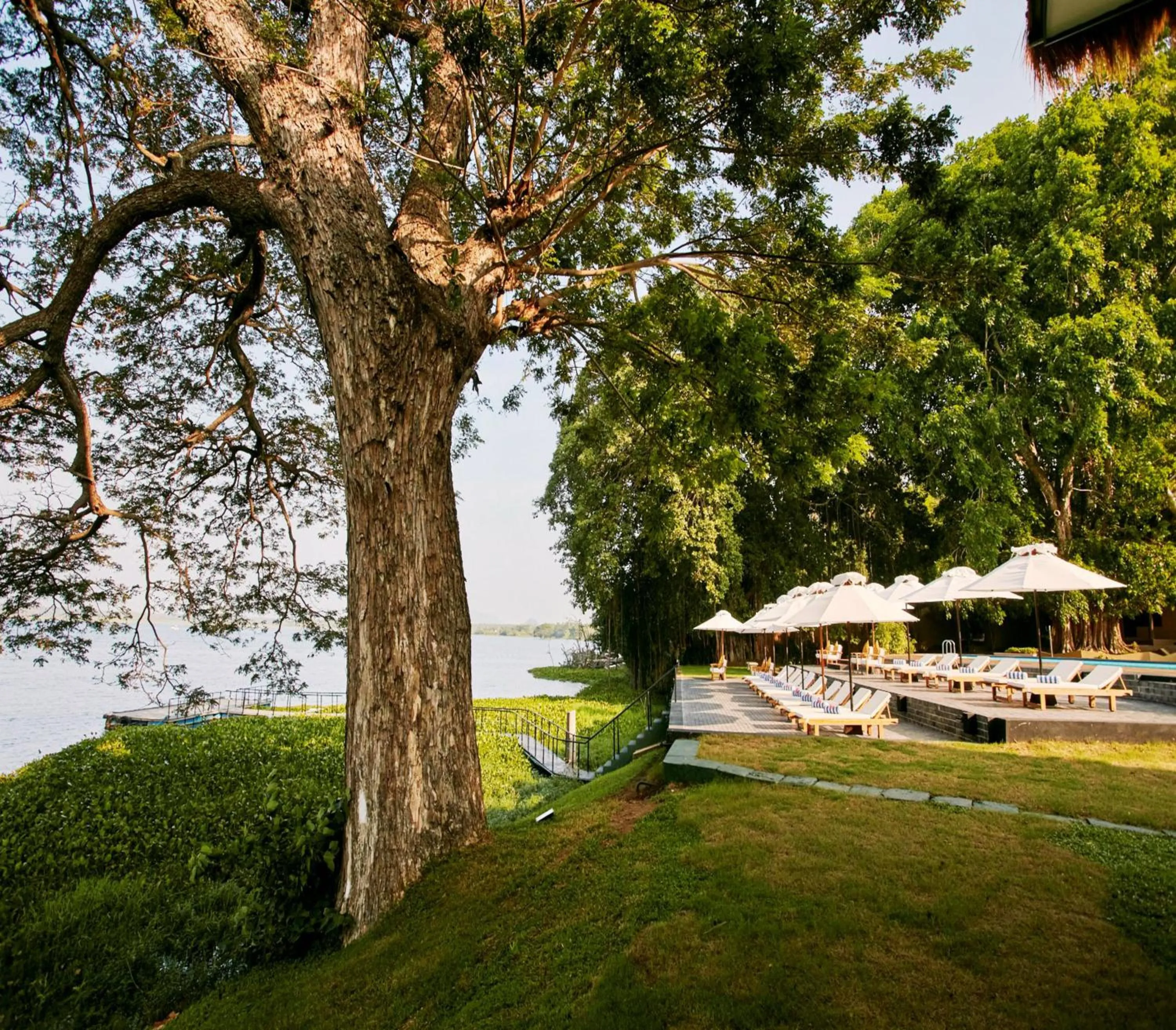 Natural landscape in EKHO Safari Tissa