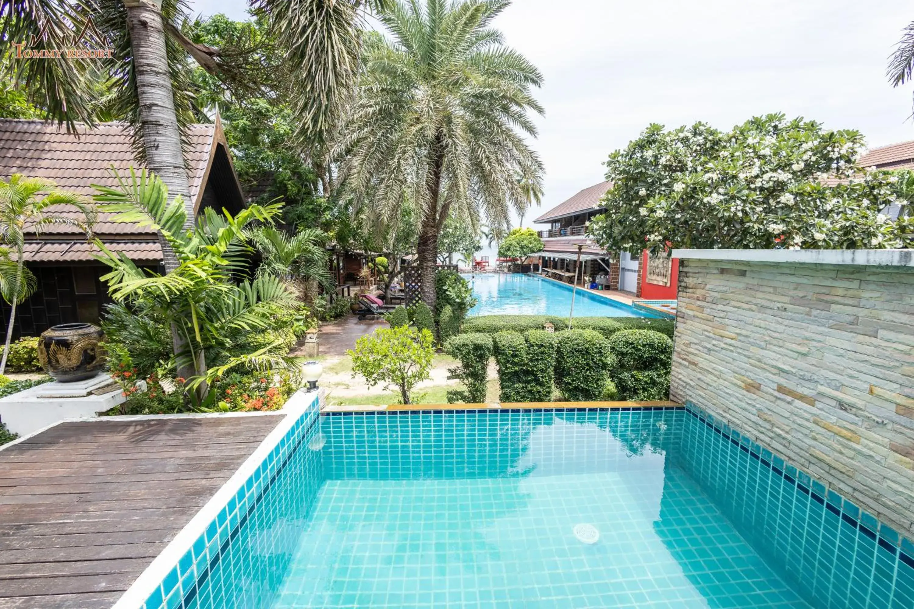 Swimming pool in Tommy Resort Swimming pool in Tommy Resort