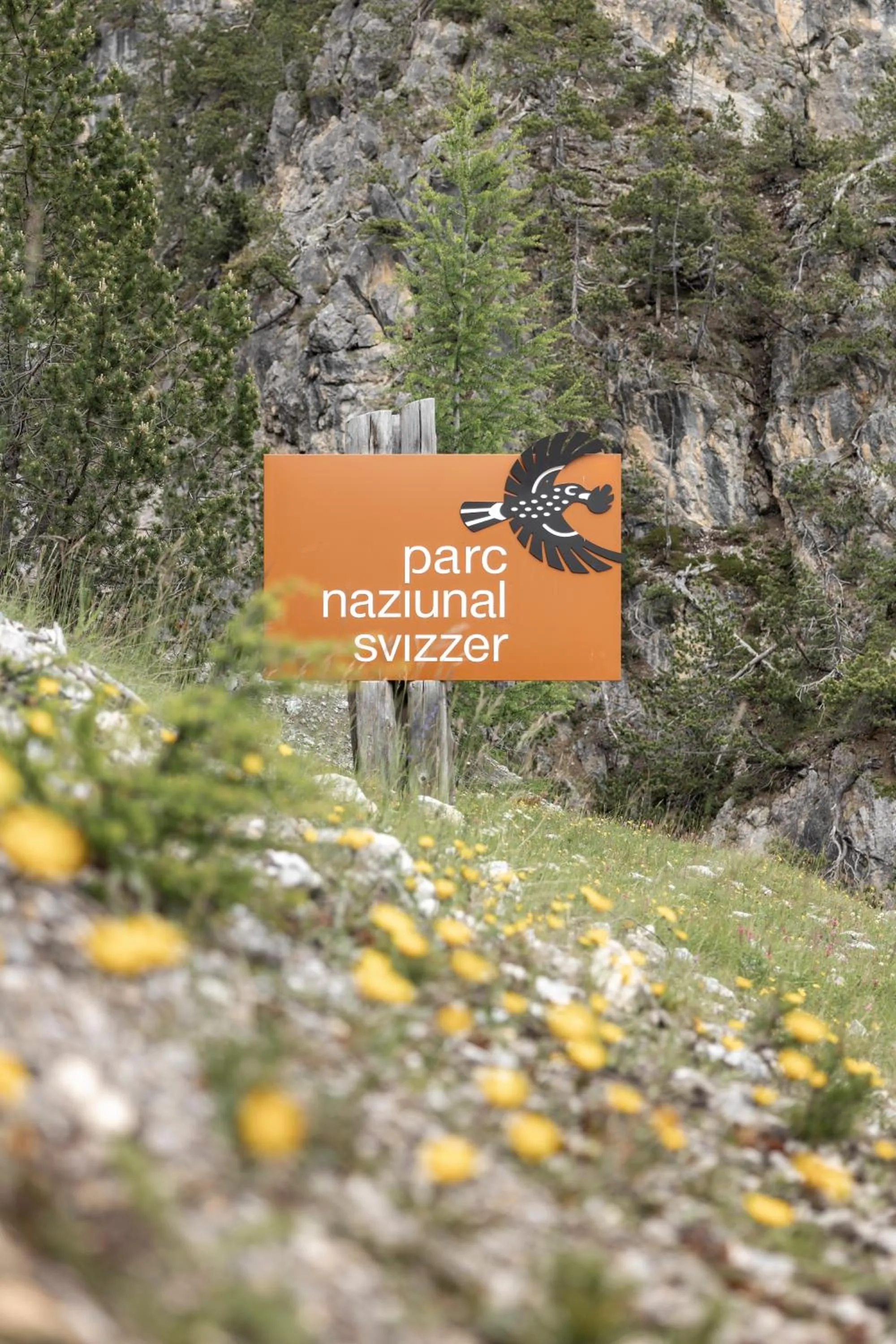 Nearby landmark in Hotel Baer & Post Zernez