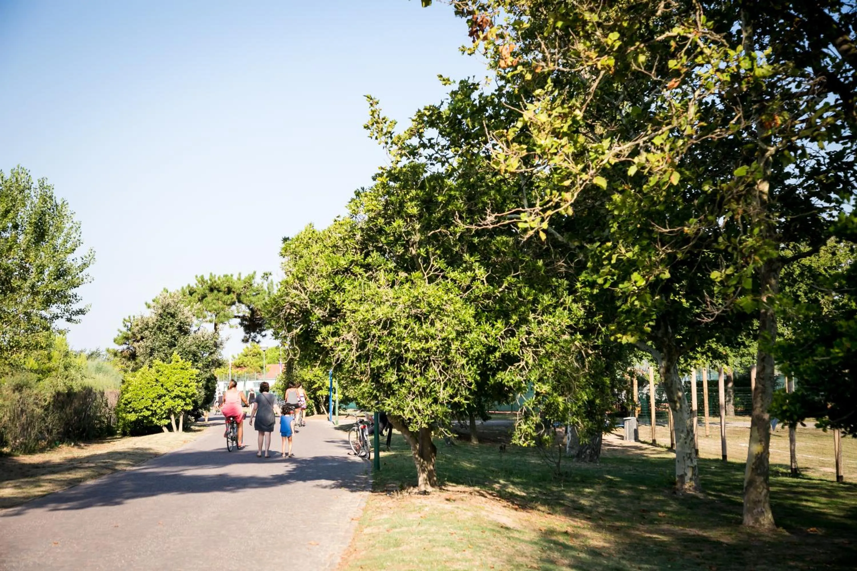 Area and facilities in Mediterranee Family Hotel & Spa