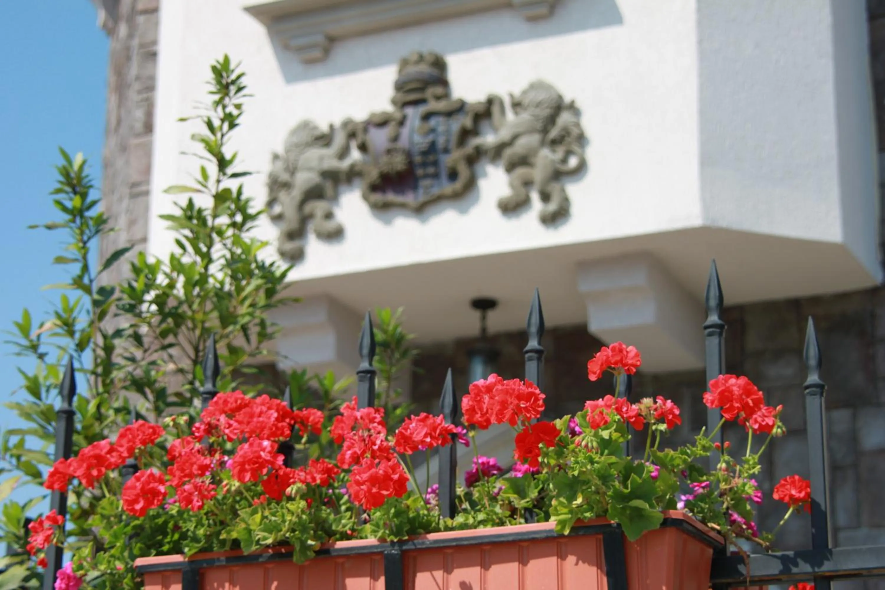 Decorative detail in Hotel LaCetate