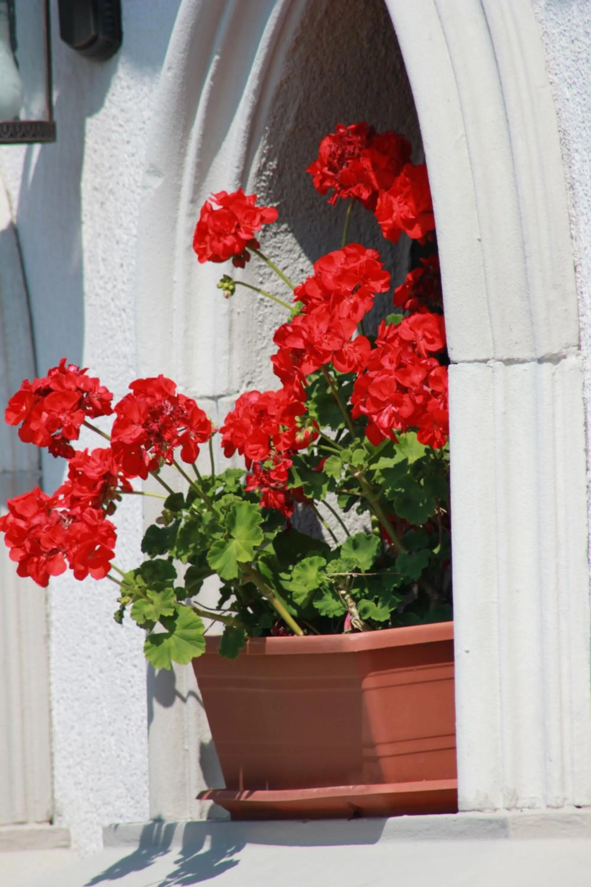Decorative detail in Hotel LaCetate