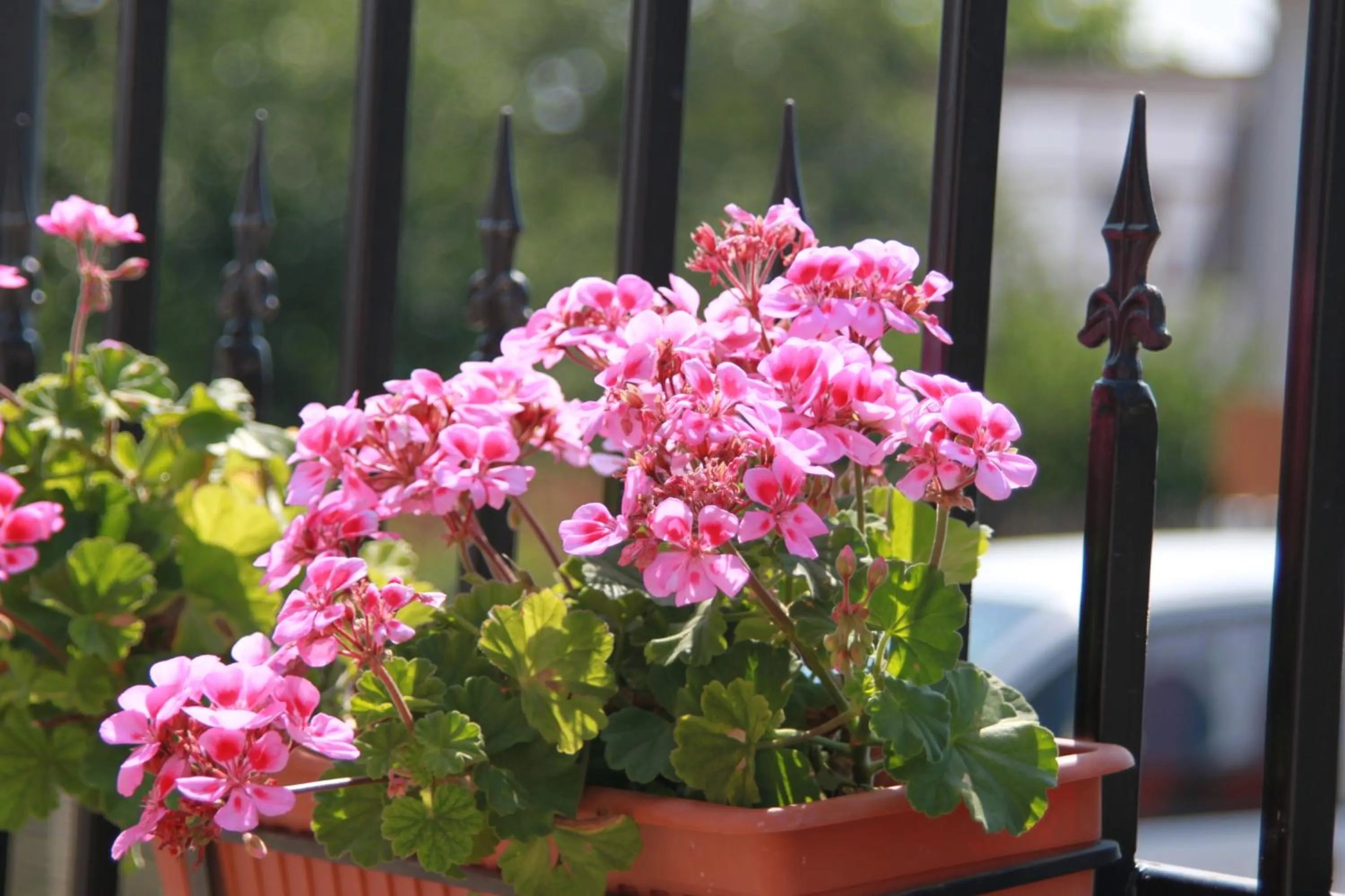 Decorative detail in Hotel LaCetate