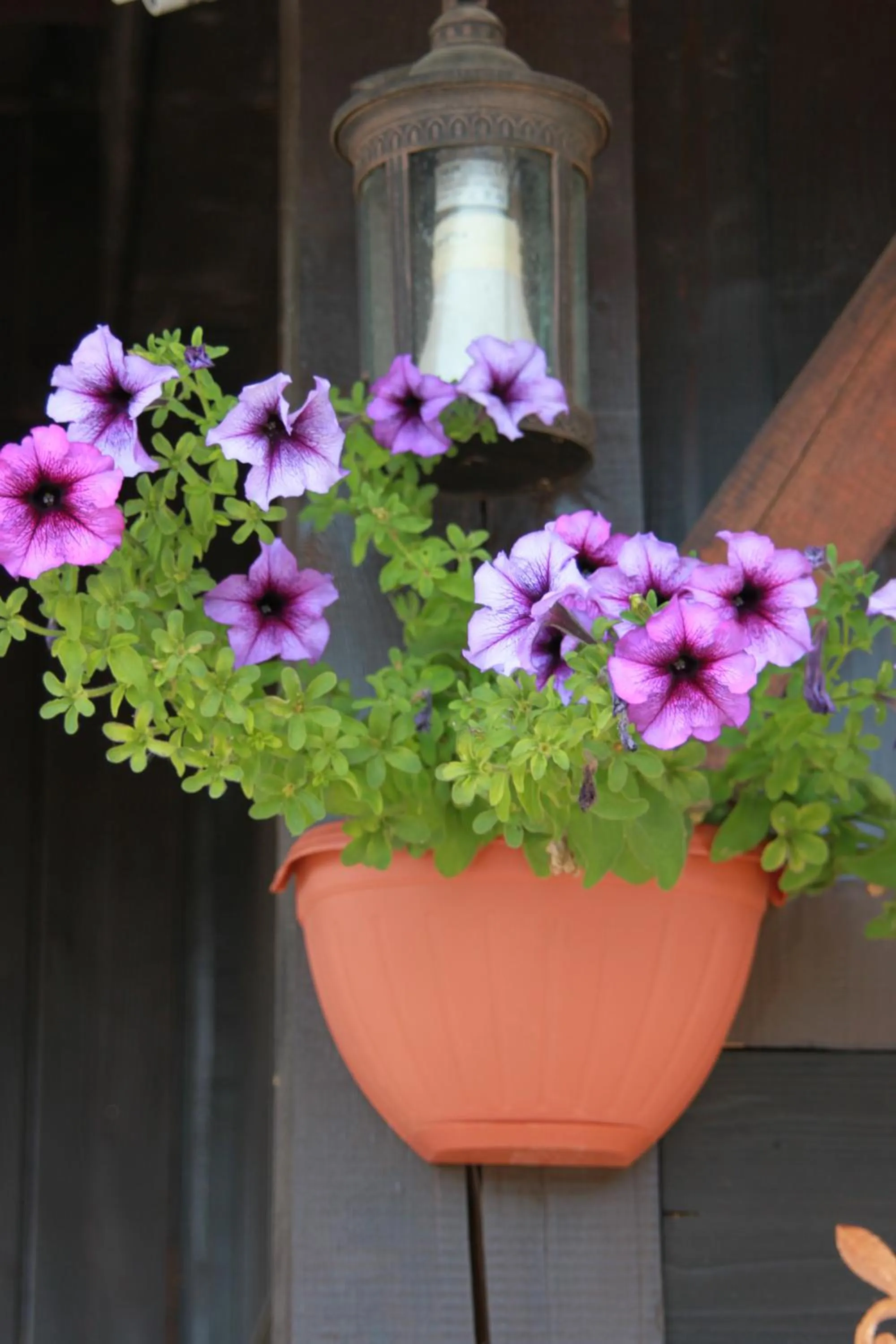 Decorative detail in Hotel LaCetate