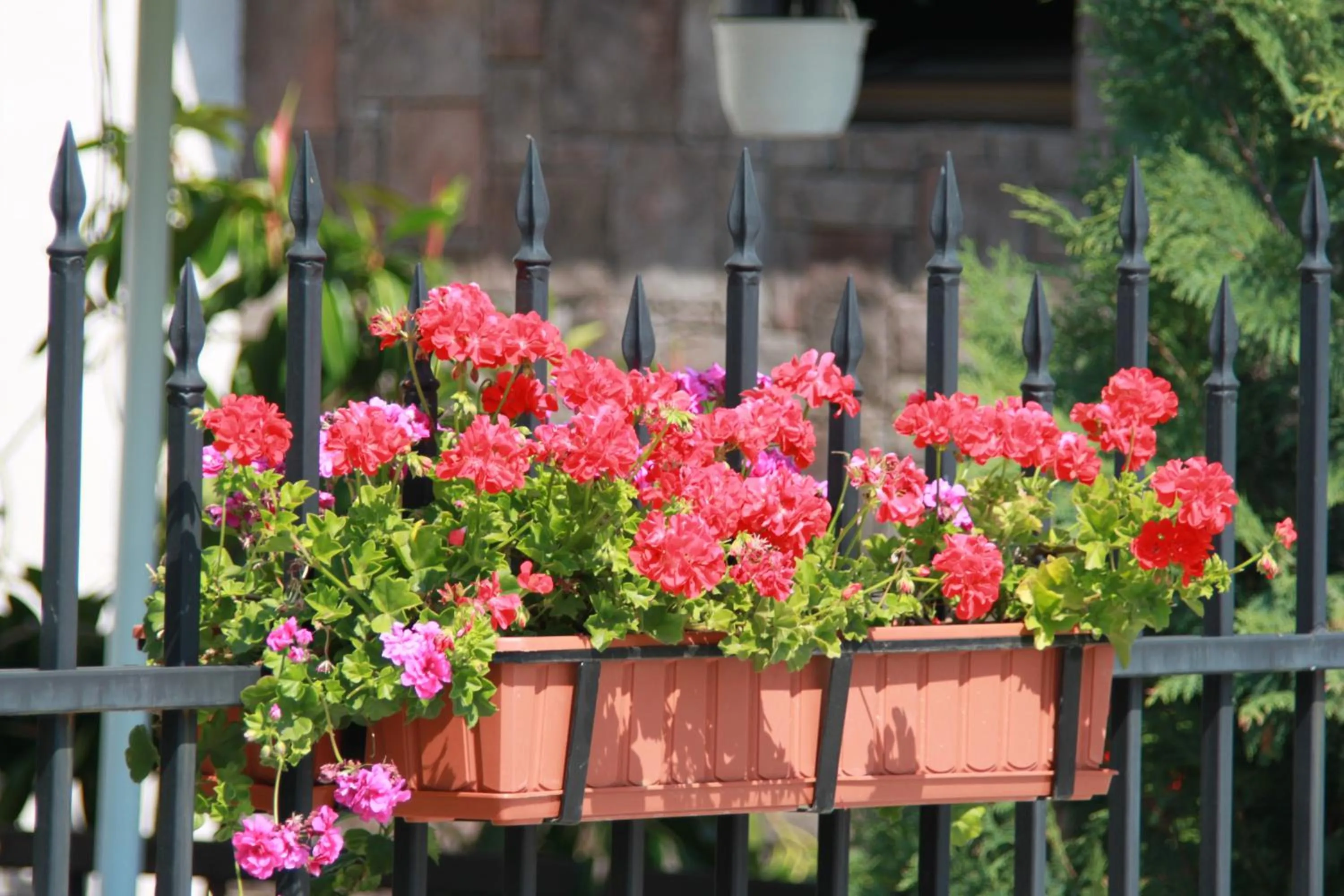 Decorative detail in Hotel LaCetate