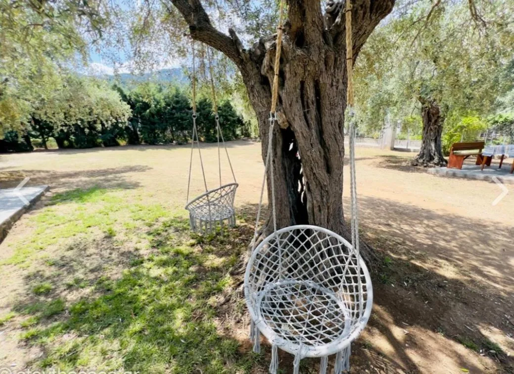 Natural landscape in House Elena