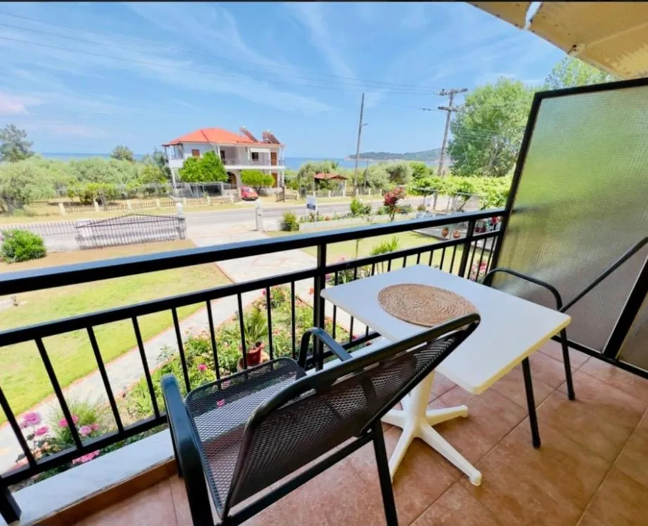 Patio in House Elena