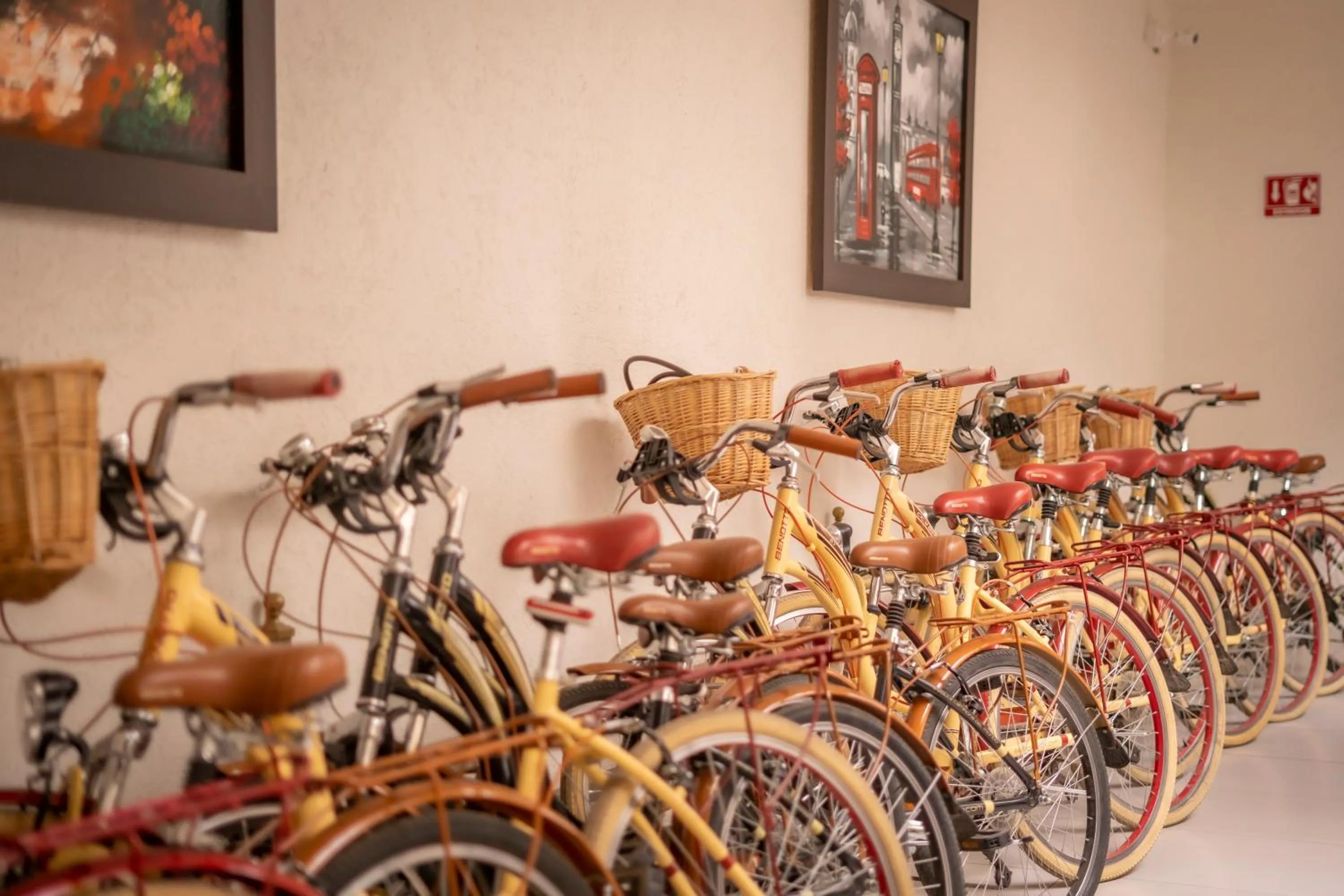 Cycling in Hotel SanJo