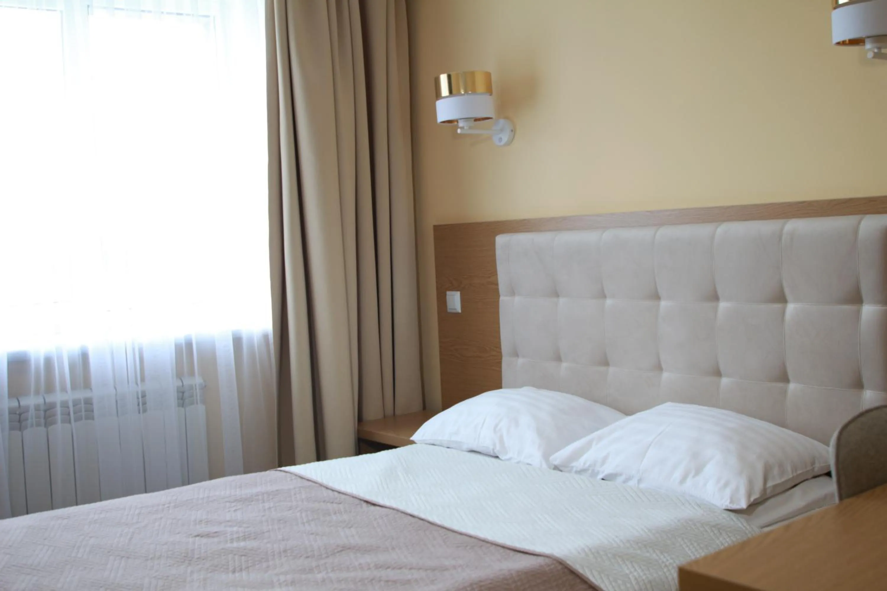 Superior Single Room with Lake View - single occupancy in Hotel Ternopil
