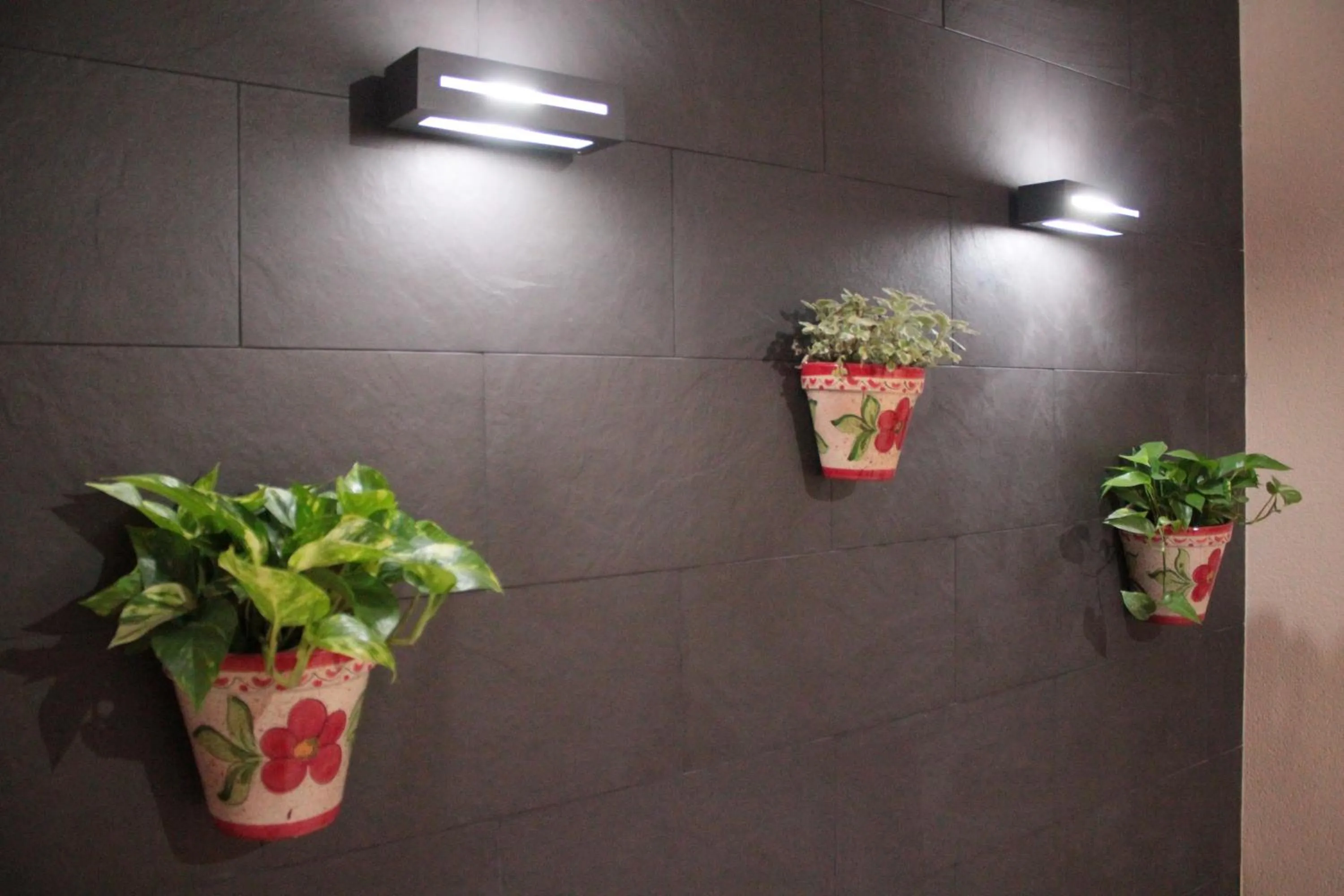 Garden in Hostal Pensimar