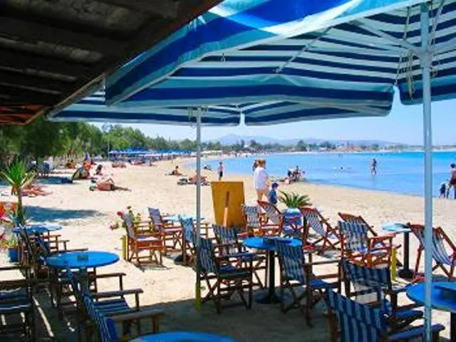 Hotel Rea