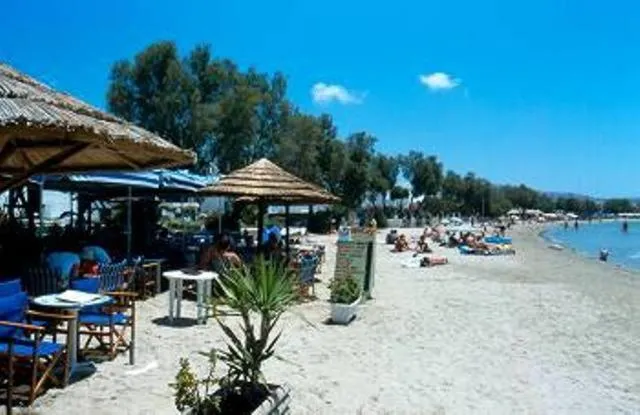 Hotel Rea
