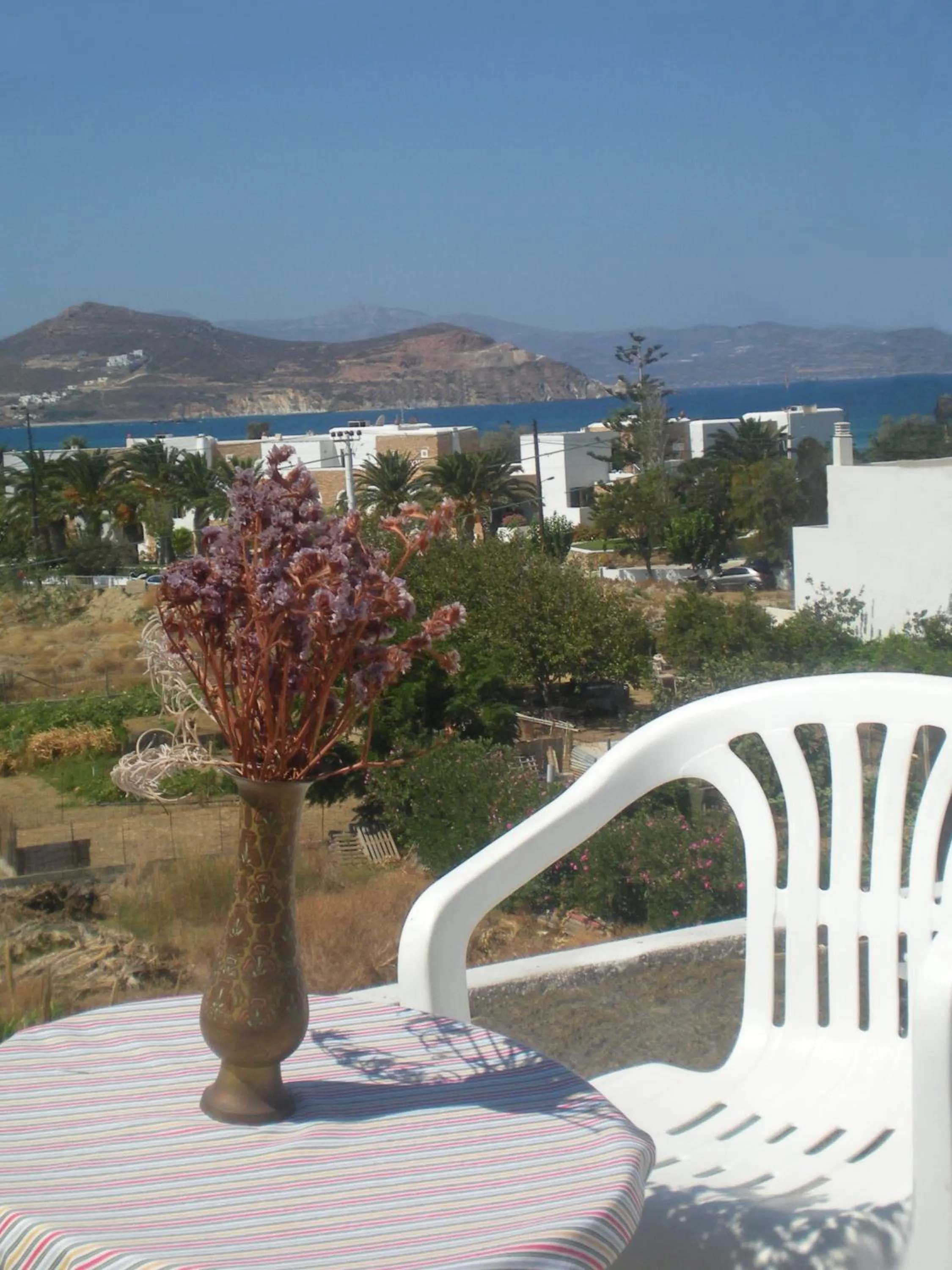 Hotel Rea