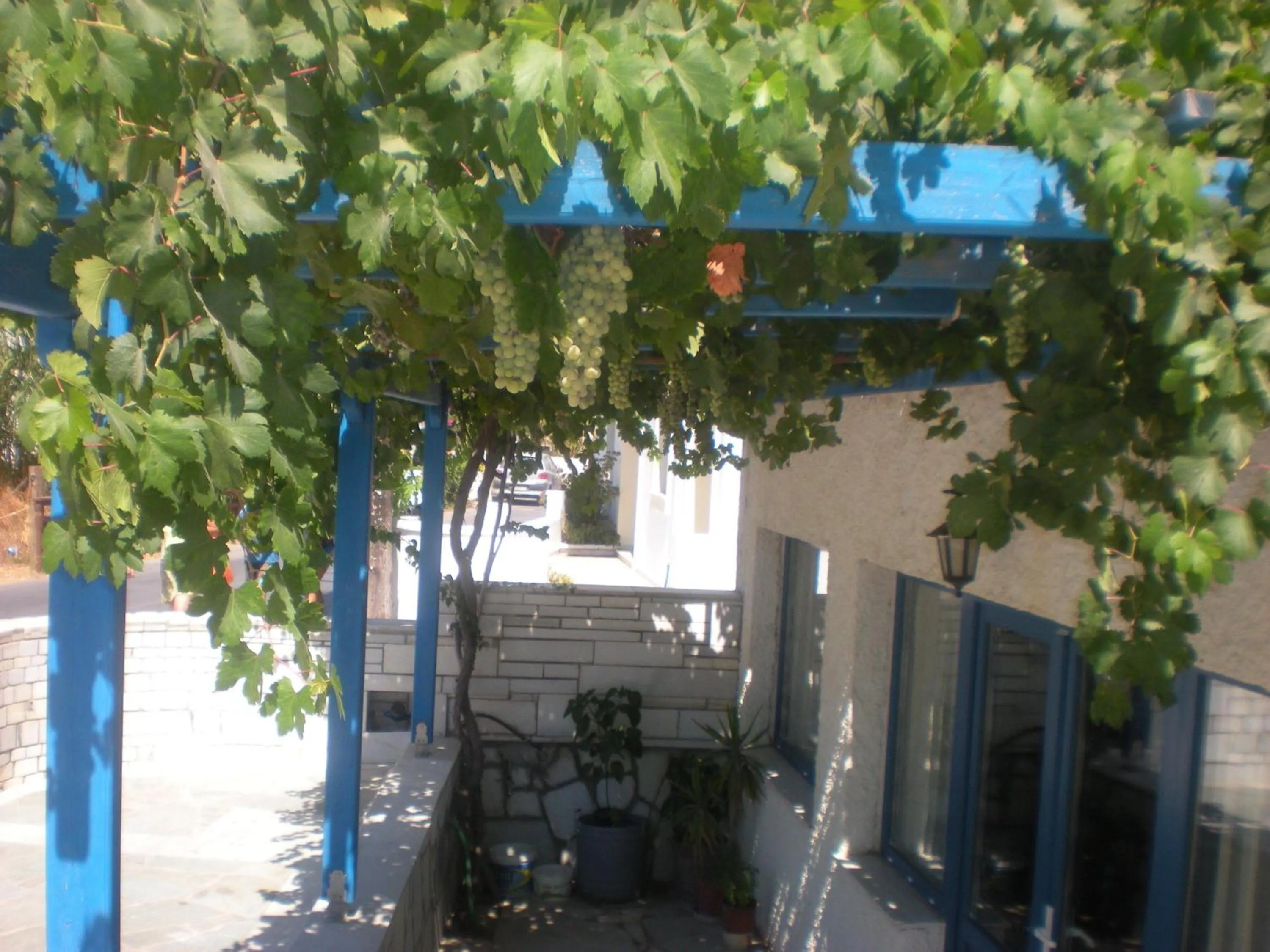 Hotel Rea