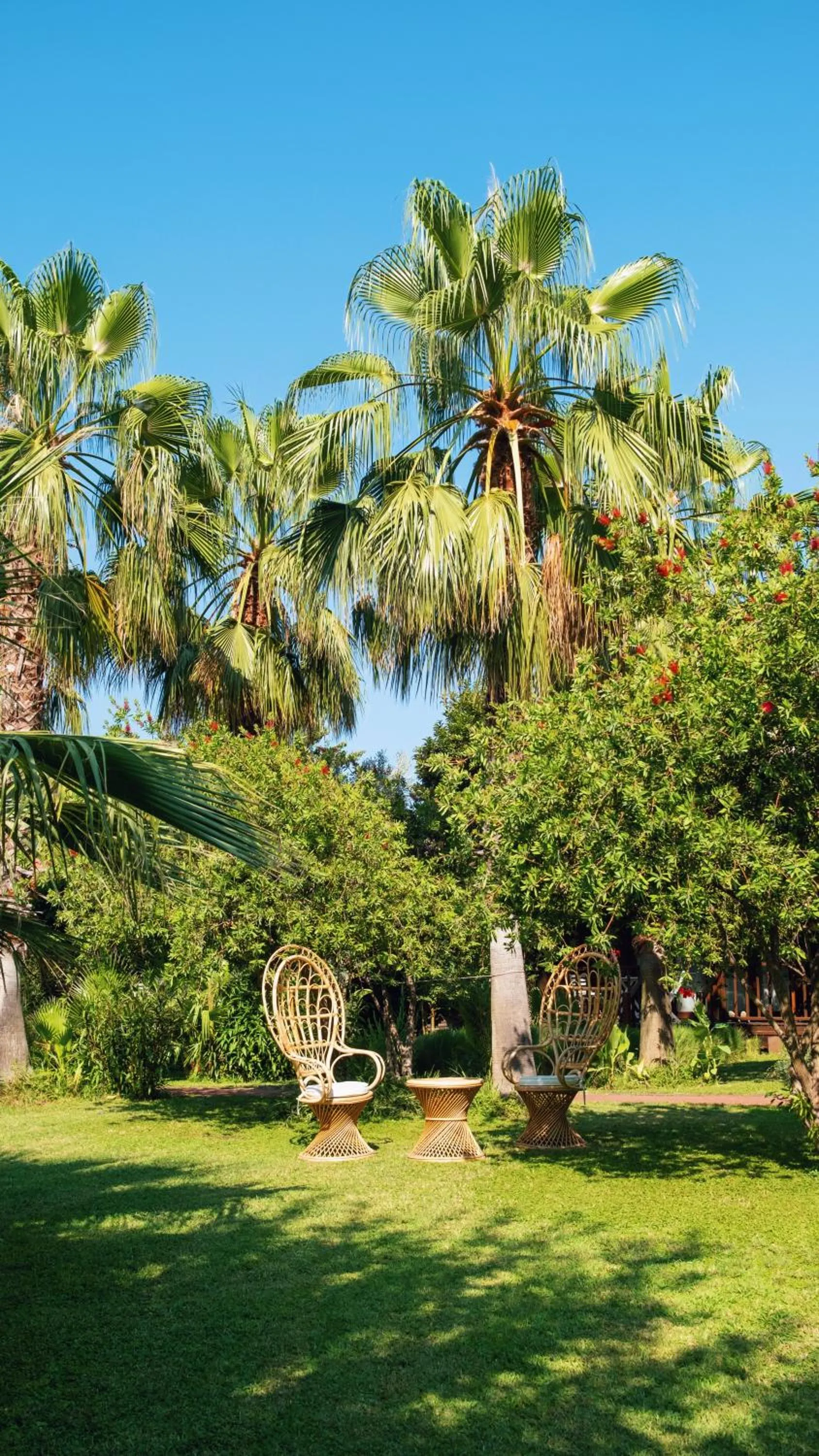 Garden in Villa Lukka