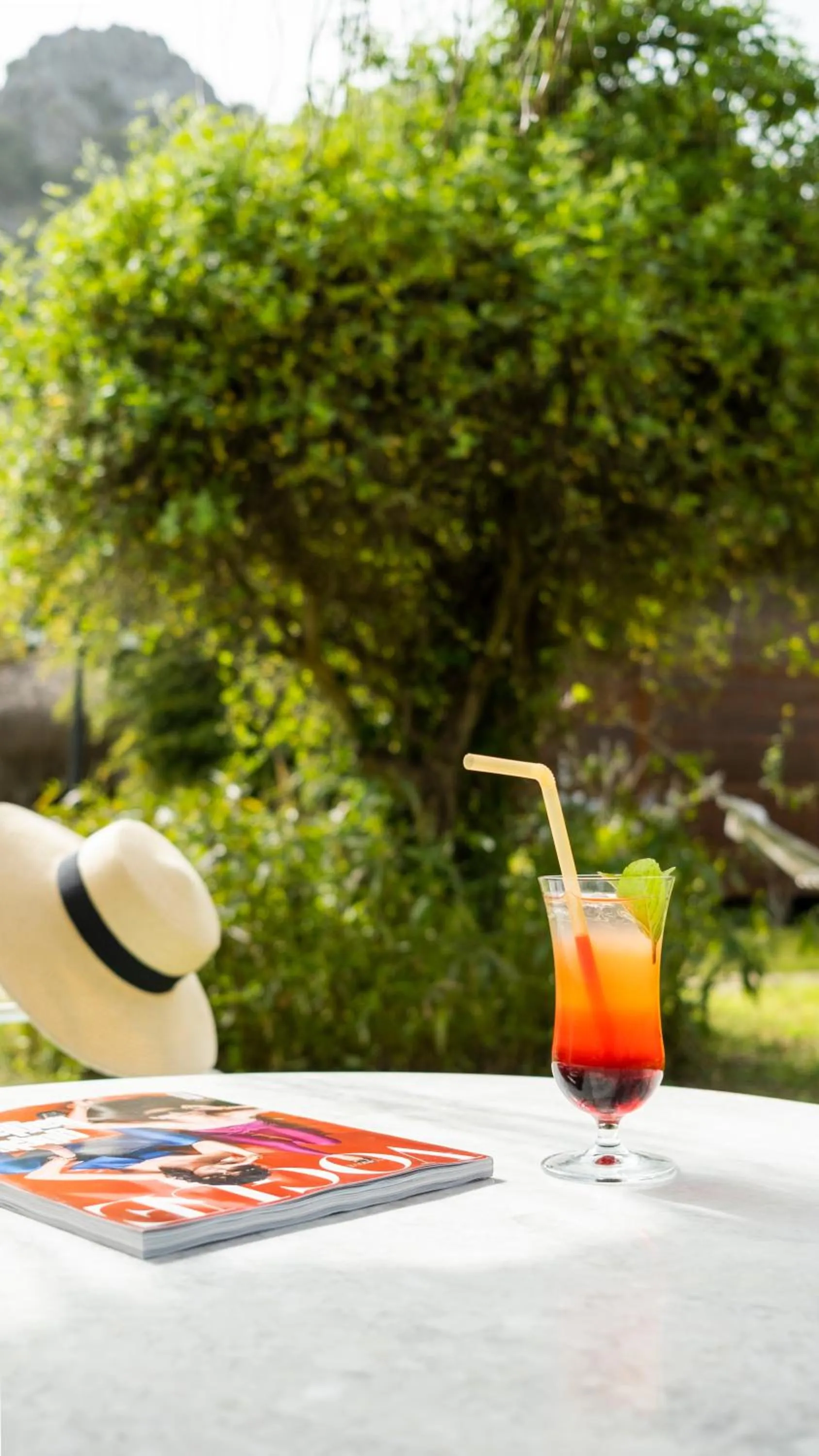 Garden in Villa Lukka