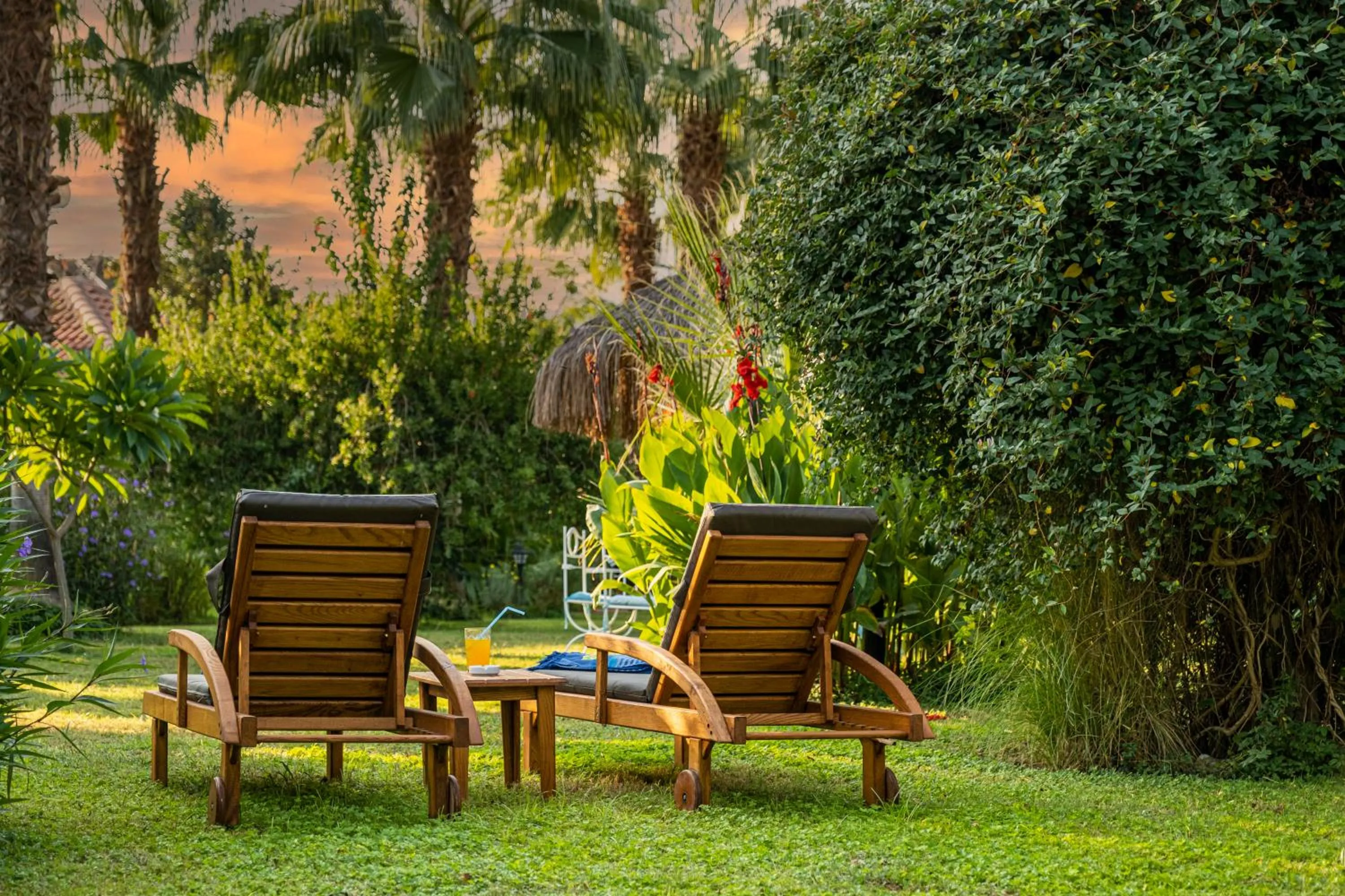 Garden in Villa Lukka