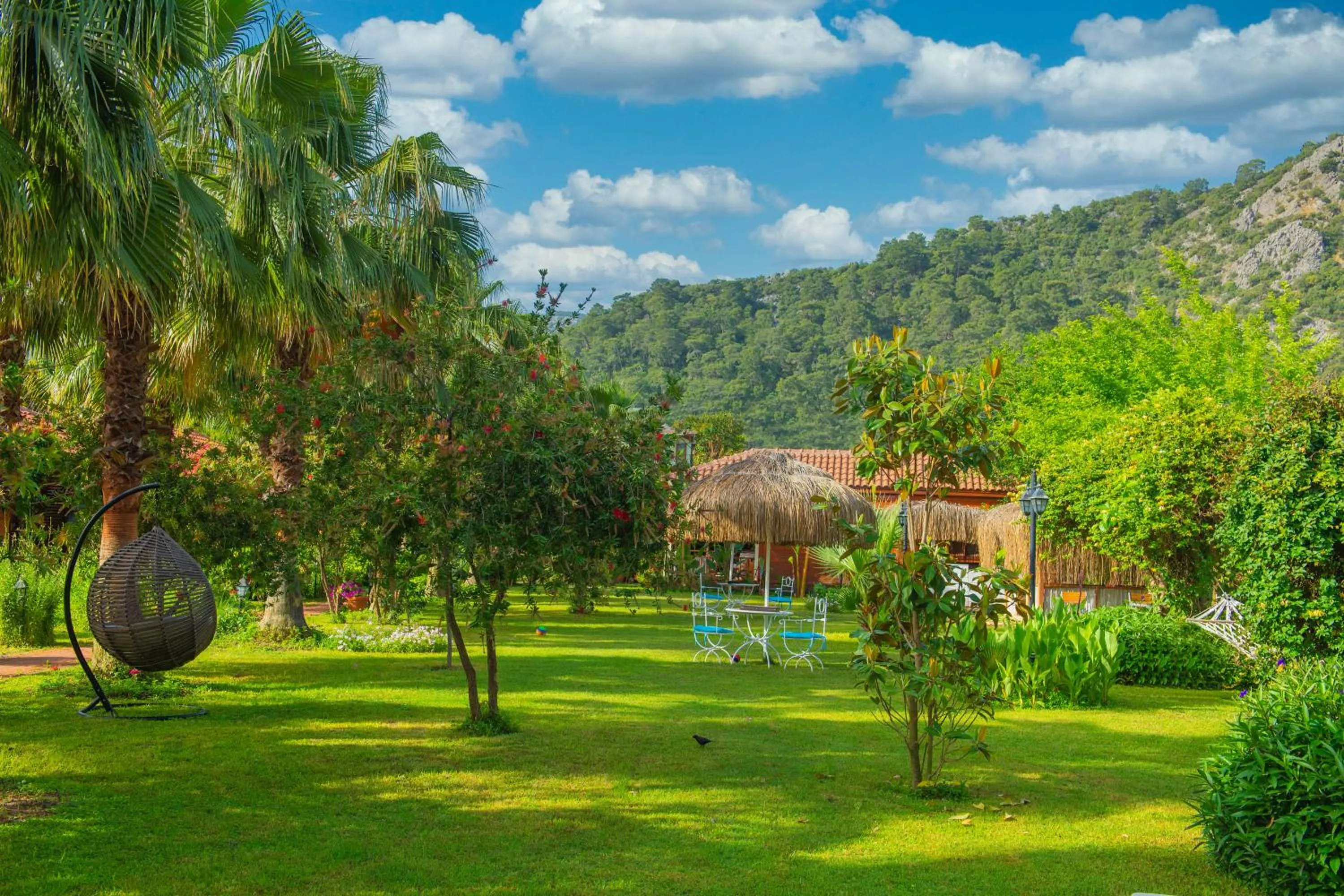 Garden in Villa Lukka