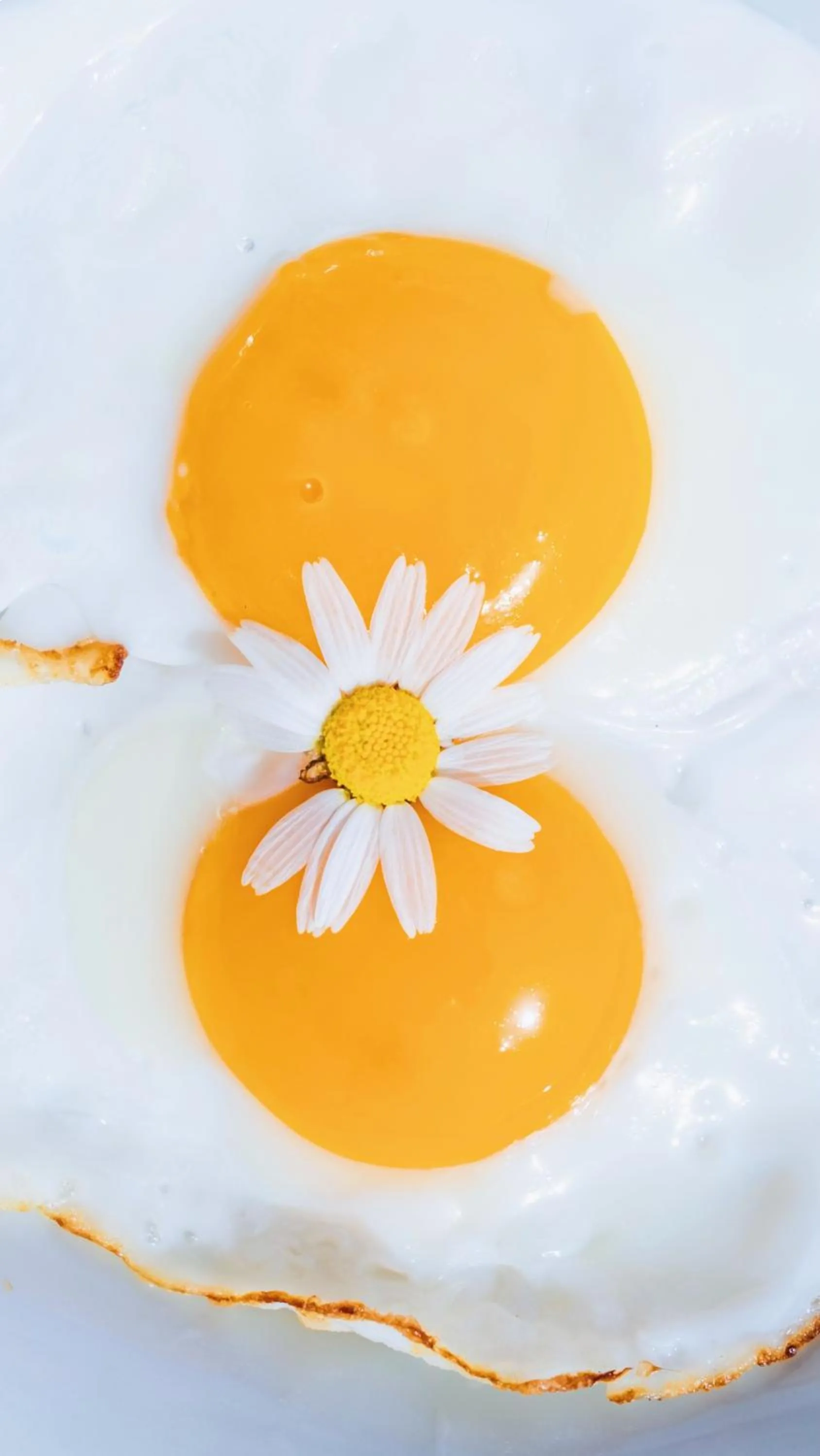 Breakfast in Villa Lukka