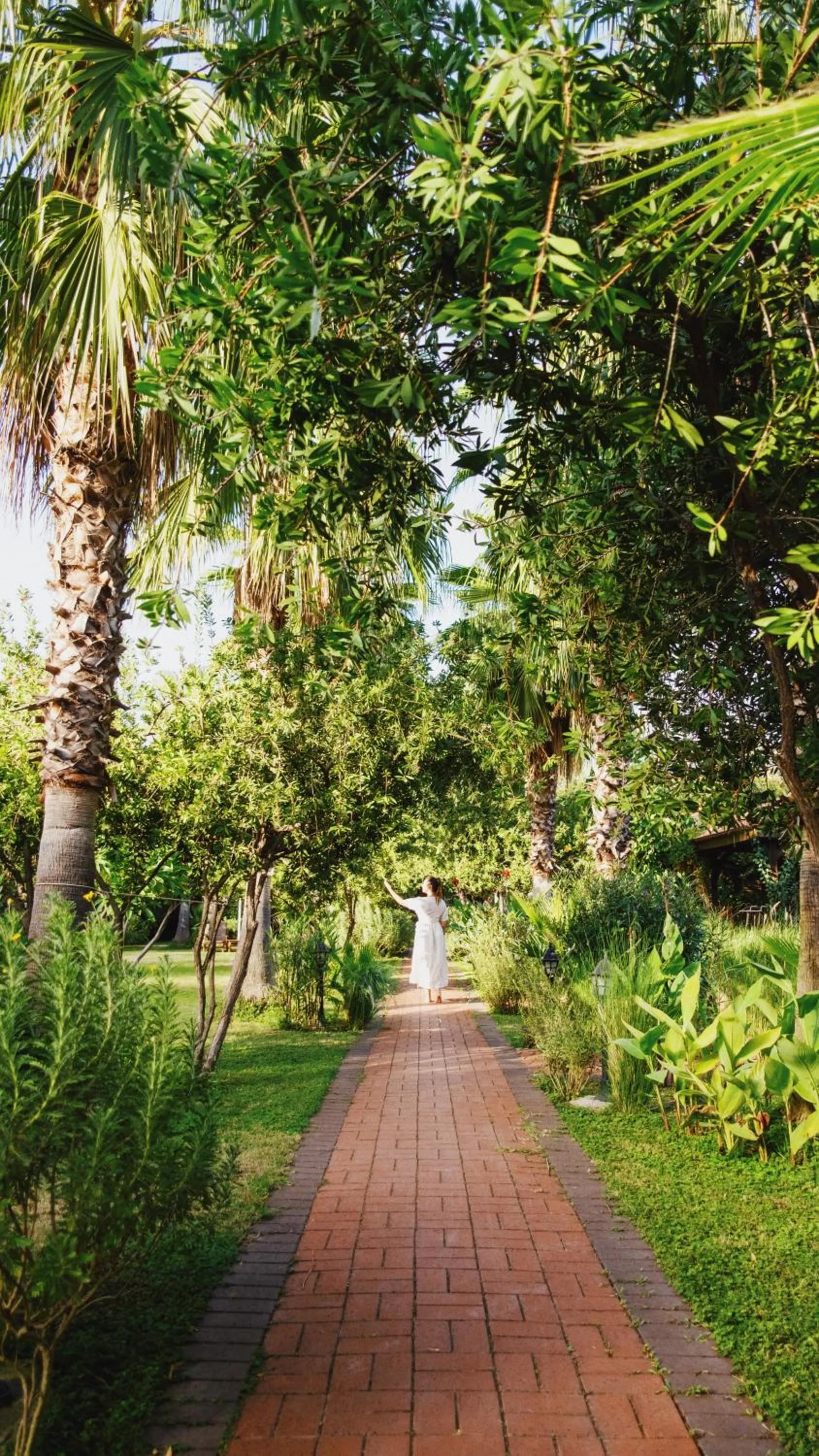 Natural landscape in Villa Lukka