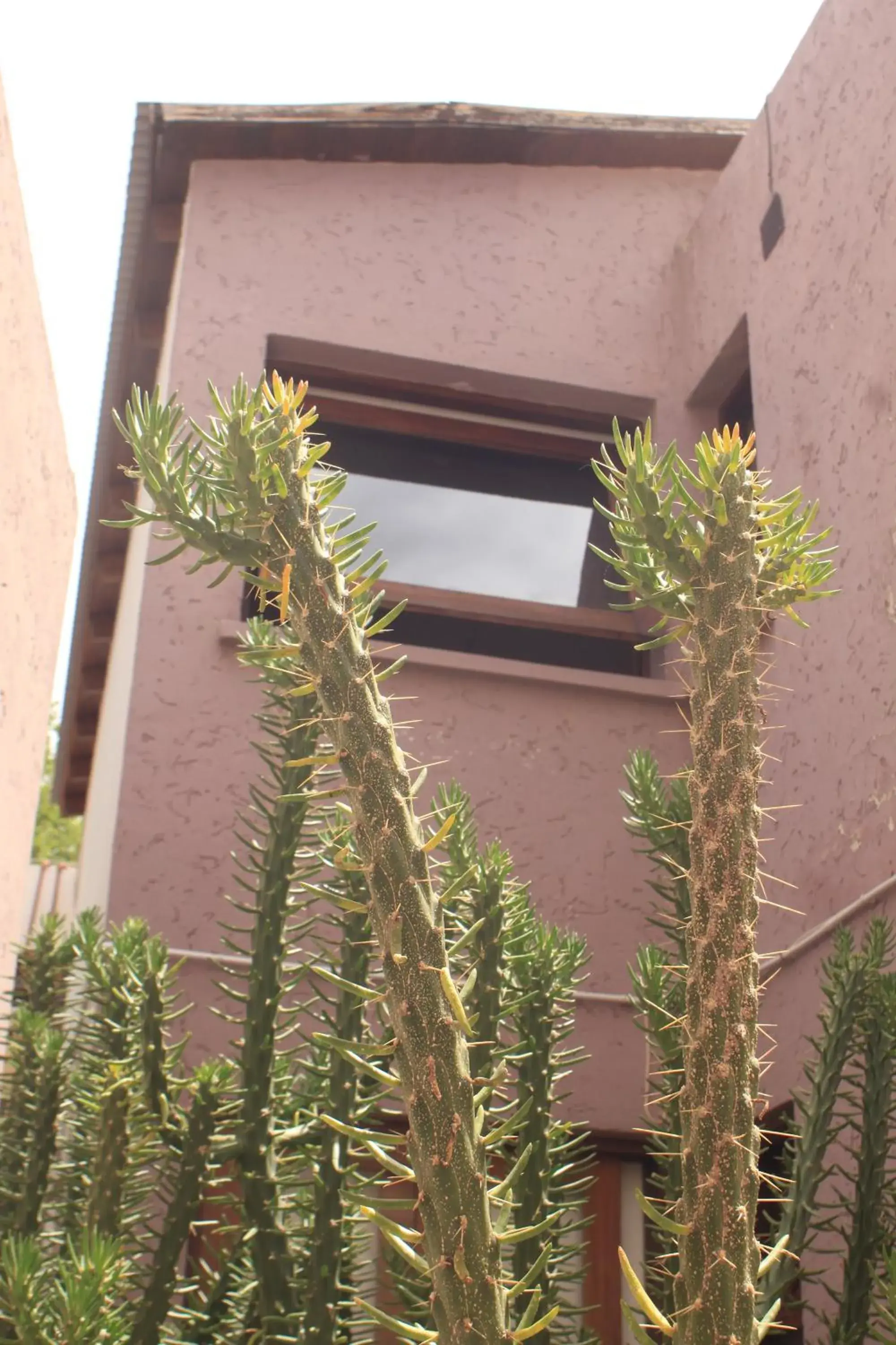 Property building in Munay Hotel Cafayate Property building in Munay Hotel Cafayate