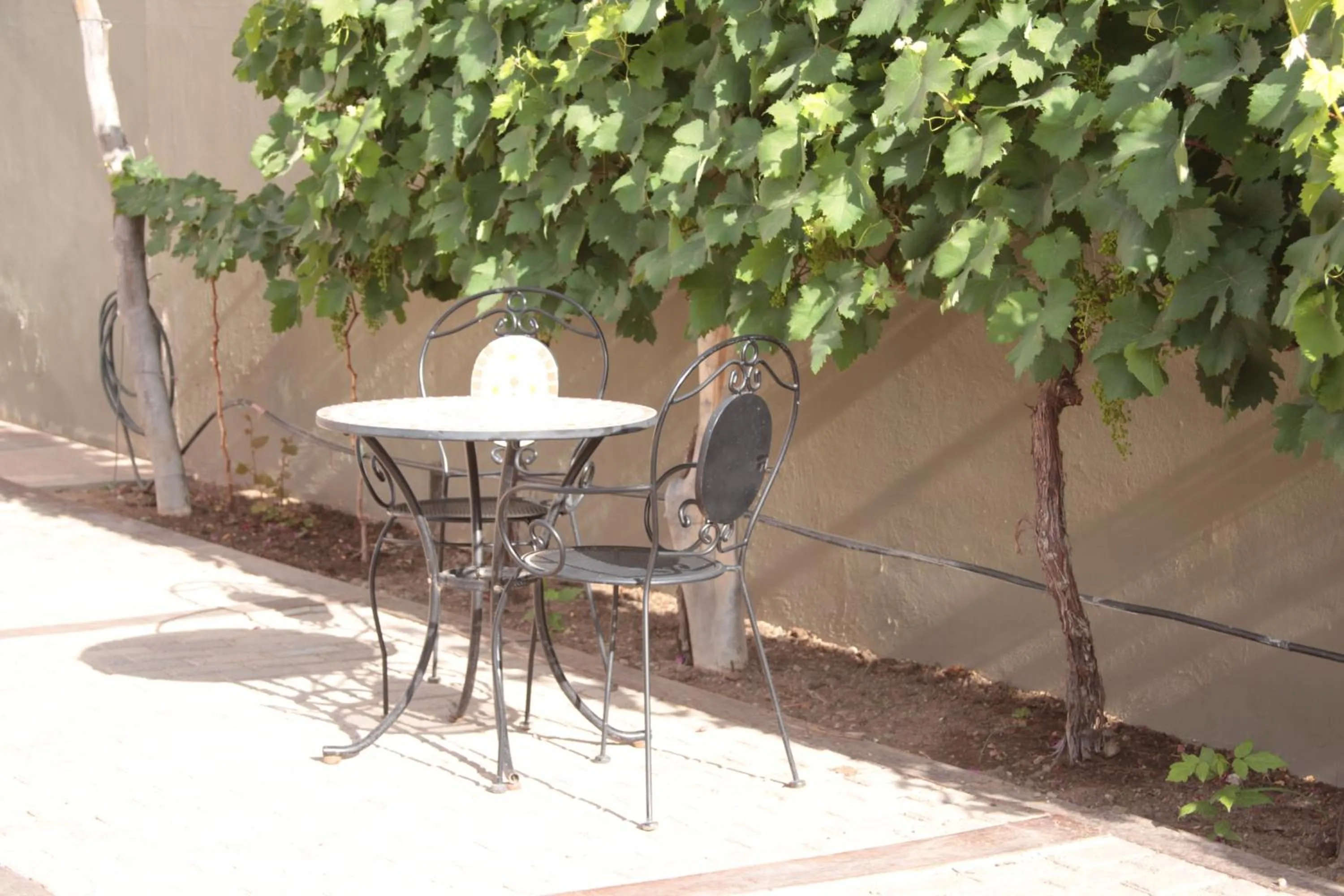 Garden in Munay Hotel Cafayate
