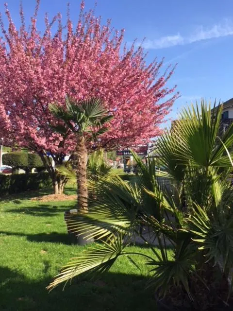 Property building in The Originals City, Hôtel Le Louisiane, Belfort Sud