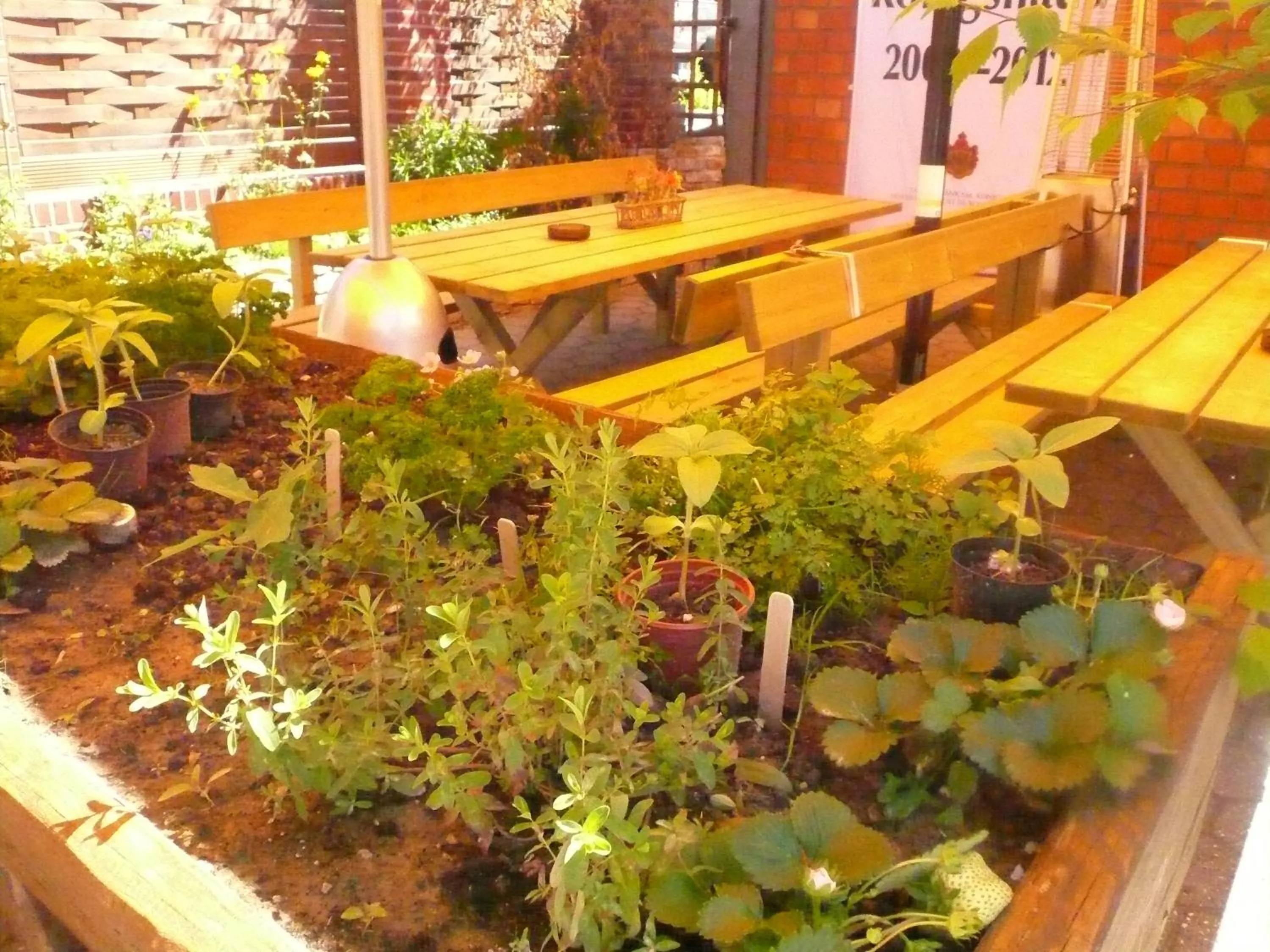 Patio in Hotel-Restaurant Haus Berger