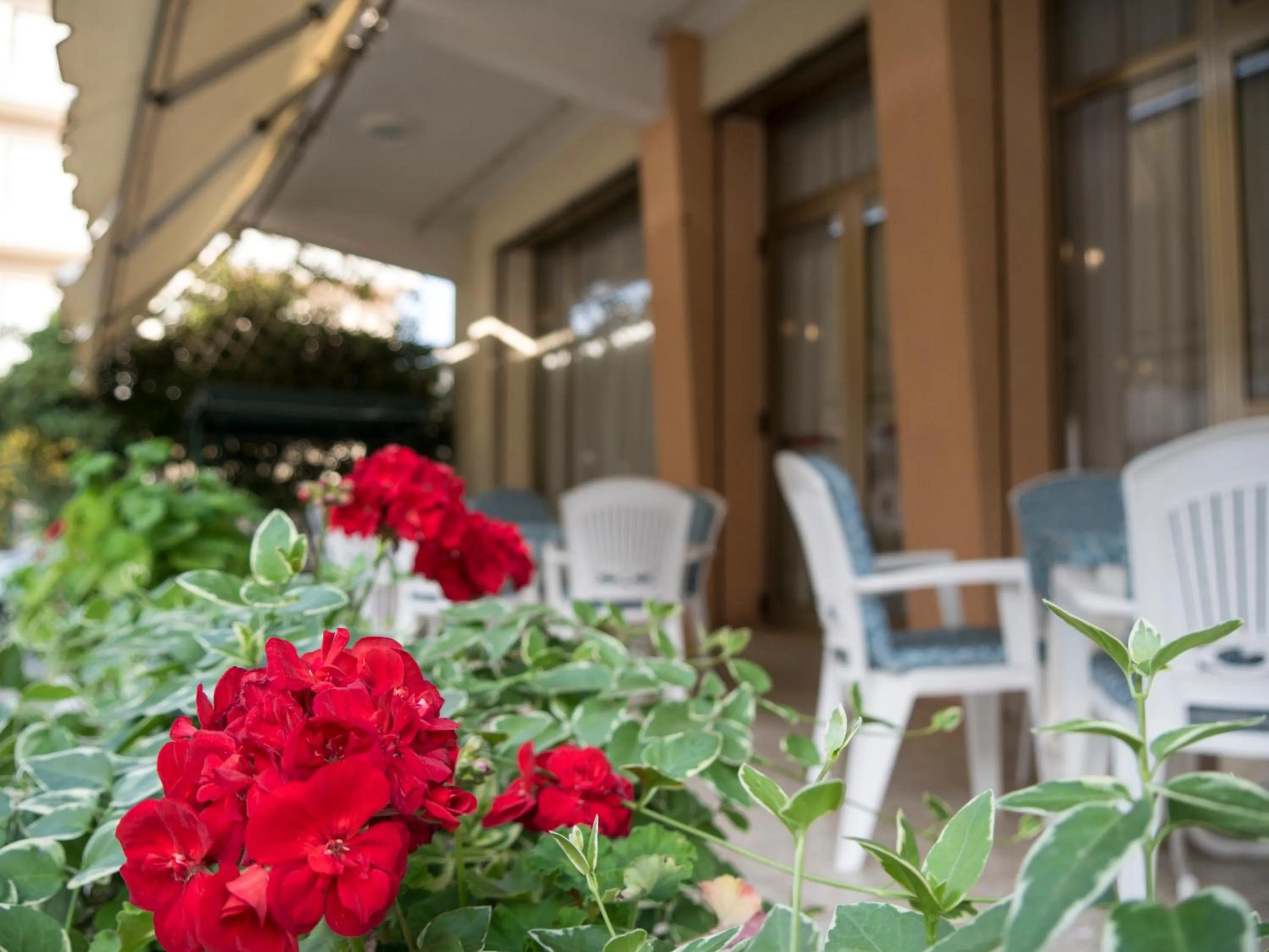 Patio in Hotel Casa Mia