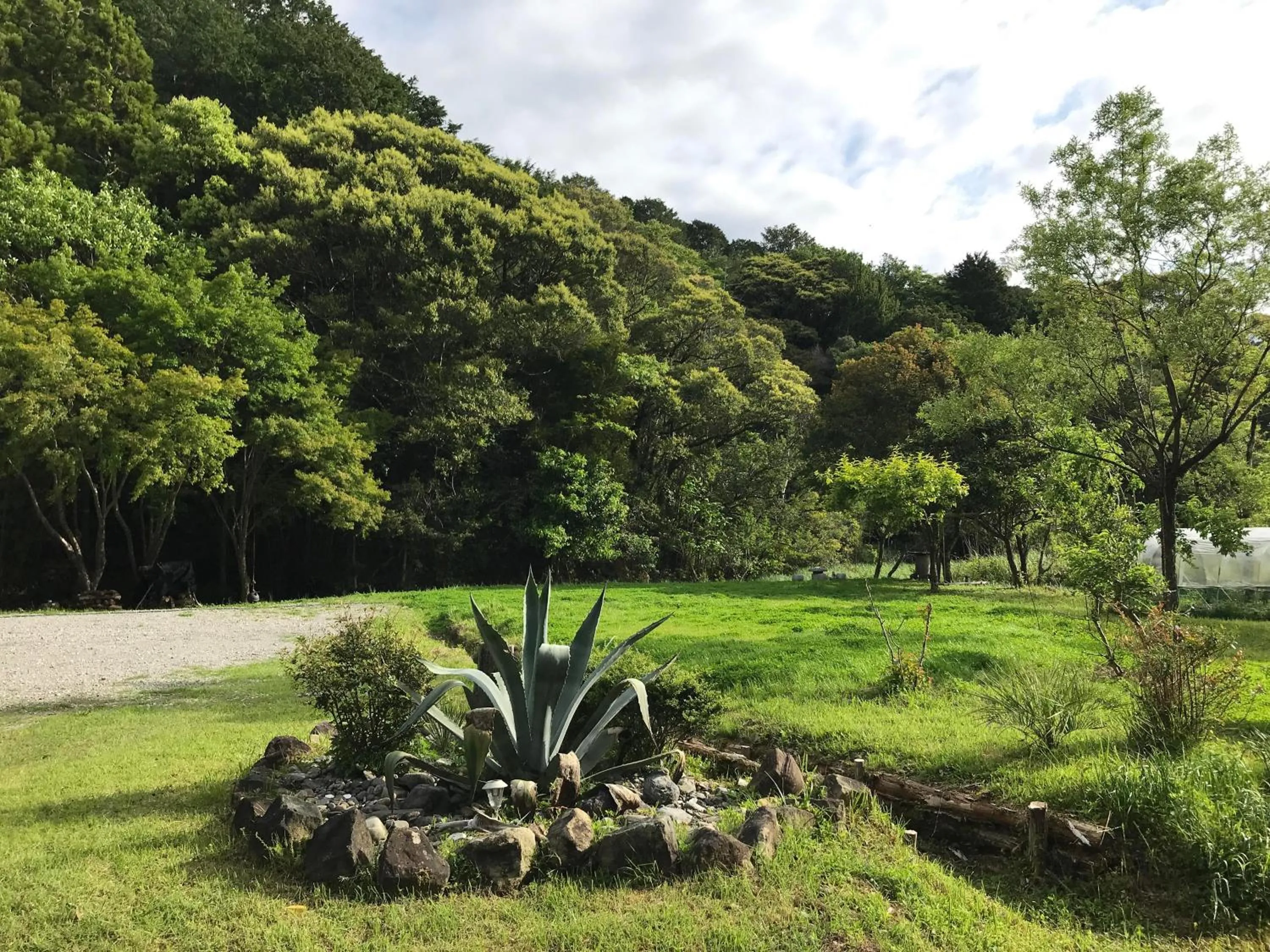 Rulo Classic Garden