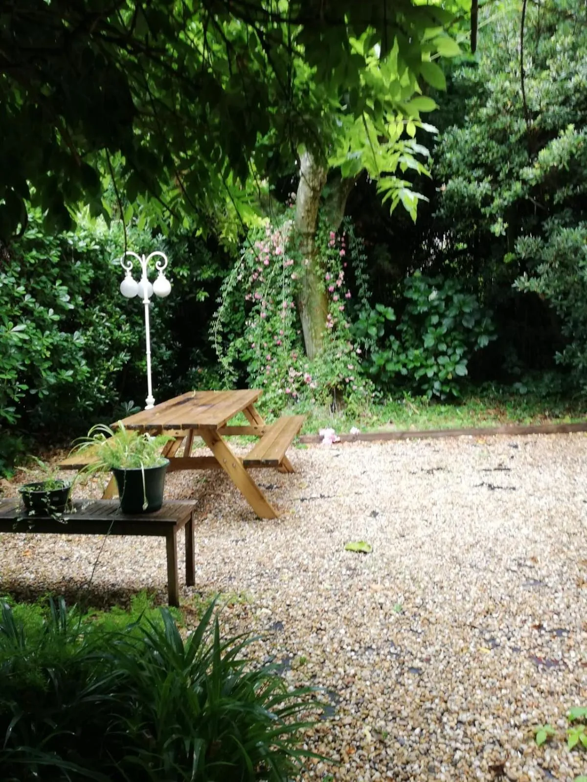Garden in Saint Charles Hôtel & Coliving Biarritz